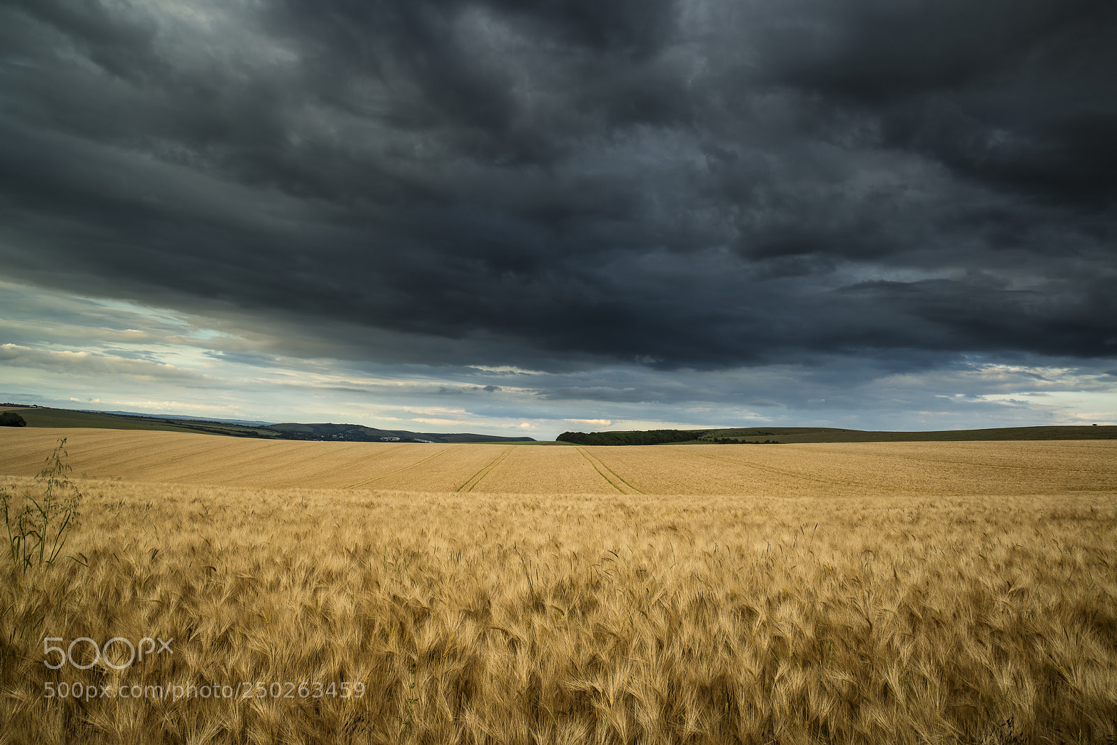 Nikon D600 sample photo. Countryside landscape wheat field photography