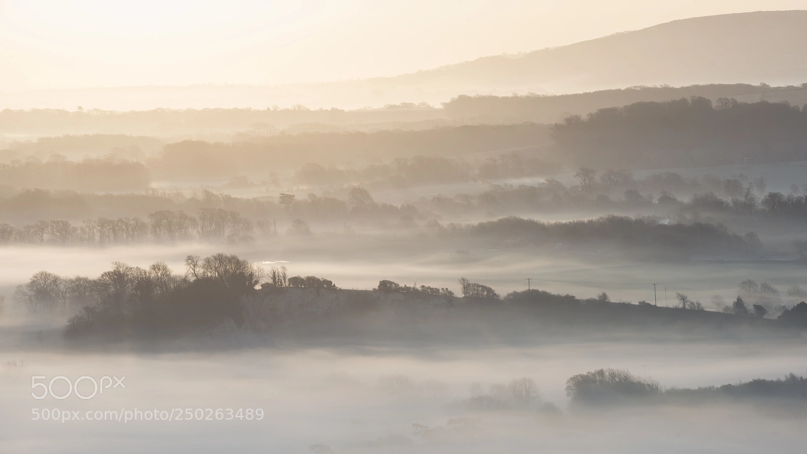 Nikon D800 sample photo. Stunning foggy english rural photography