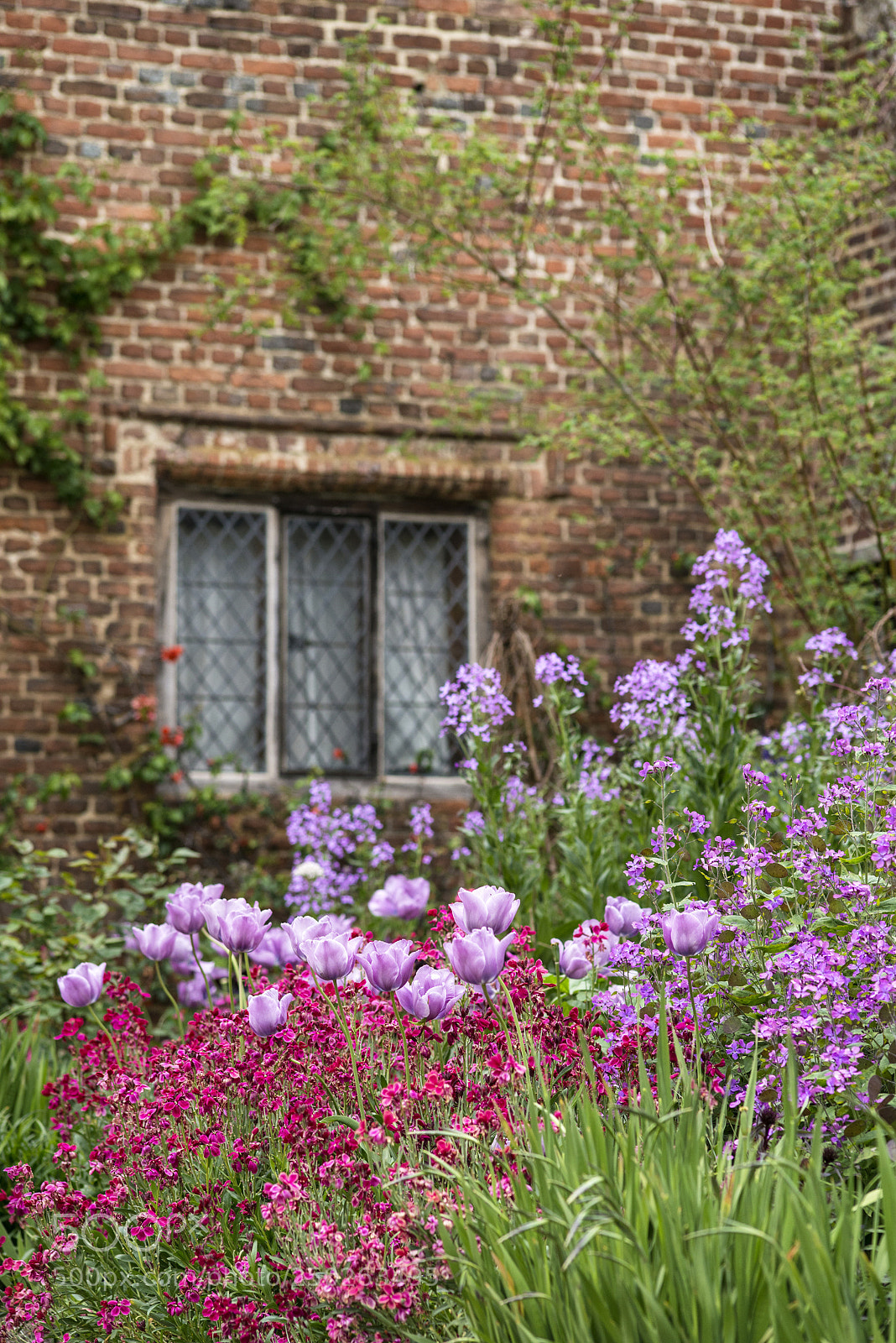 Nikon D800 sample photo. Quintessential vibrant english country photography