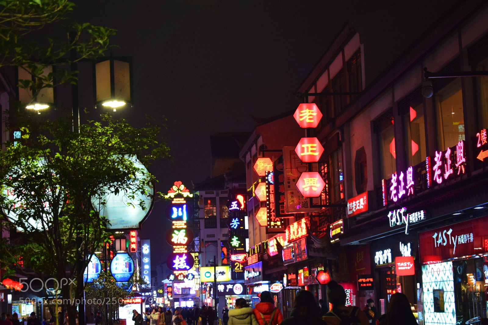 Nikon D5300 sample photo. Untitled photography