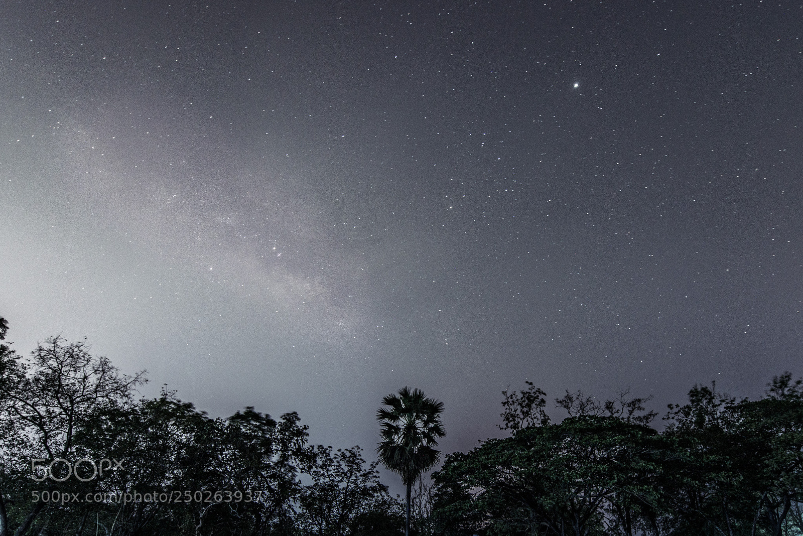 Nikon D810 sample photo. Tal photography