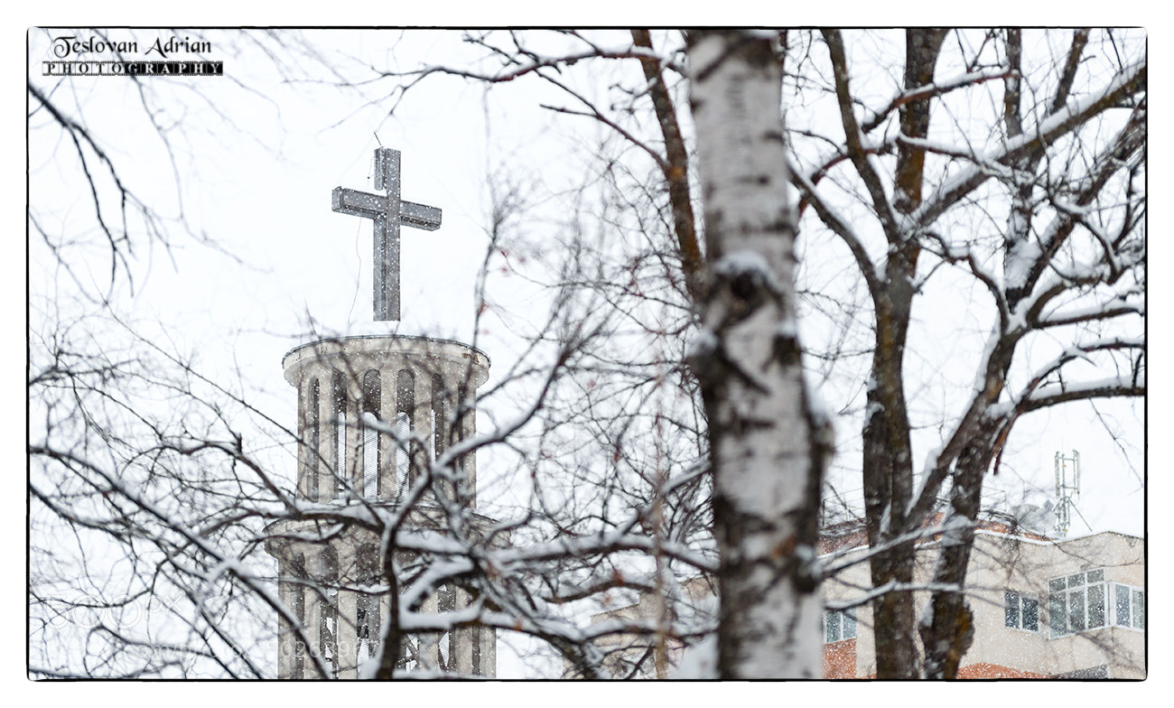 Canon EOS 7D Mark II sample photo. Test your faith....and your photography