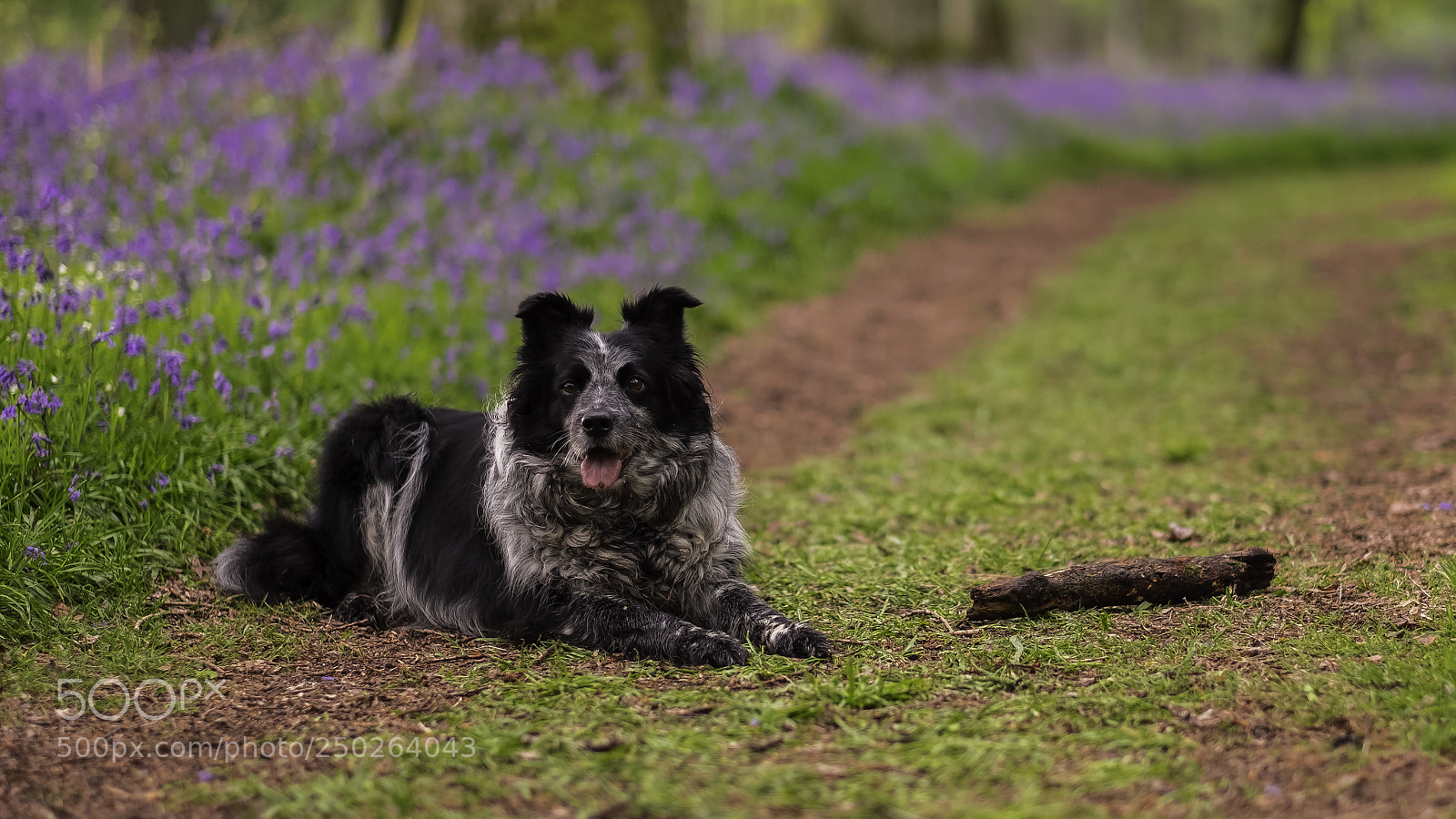 Fujifilm X-T1 sample photo. Meg photography