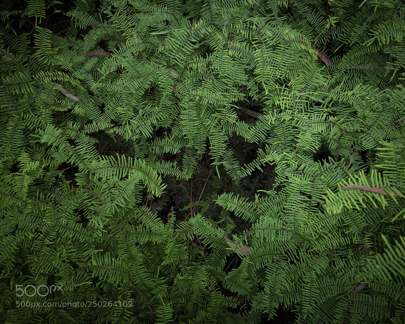 Leica SL (Typ 601) sample photo. Untitled photography