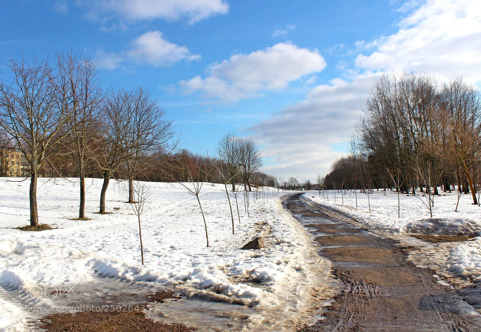 Canon EOS 1300D (EOS Rebel T6 / EOS Kiss X80) sample photo. Spring under winter photography