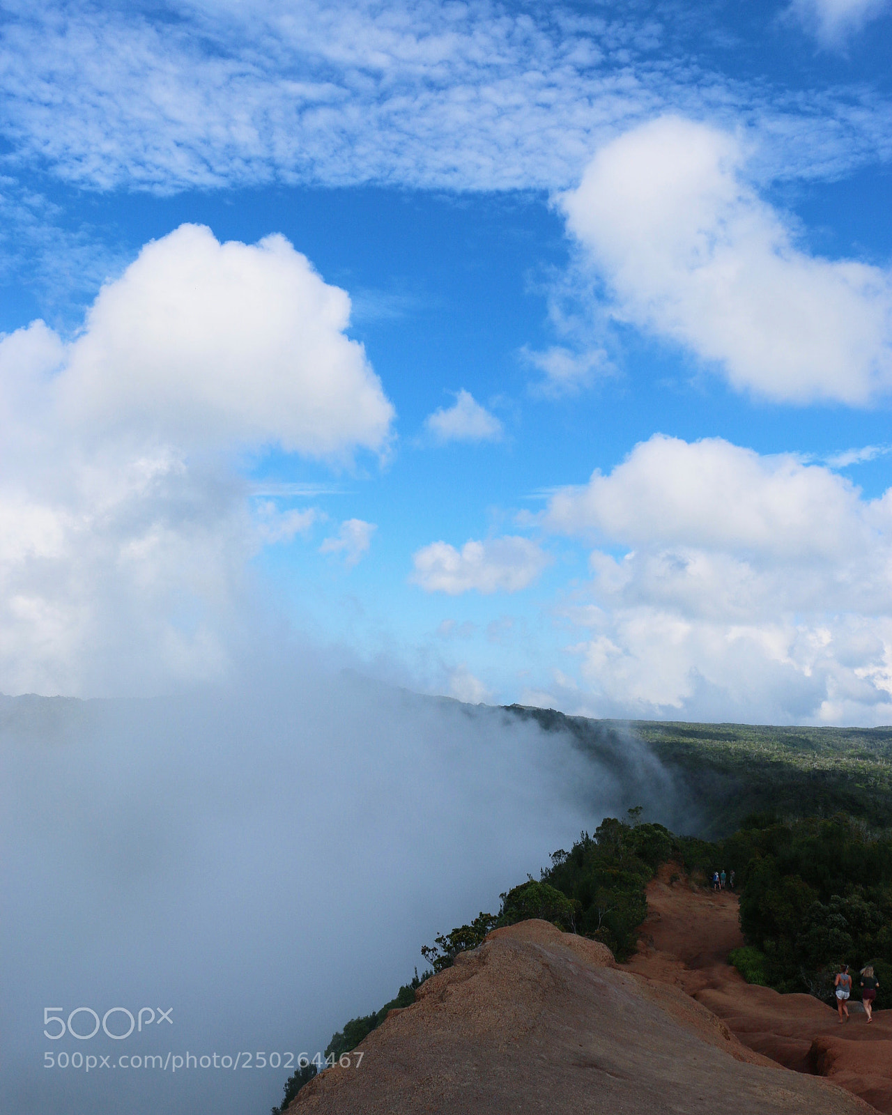 Canon EOS 70D sample photo. Img photography