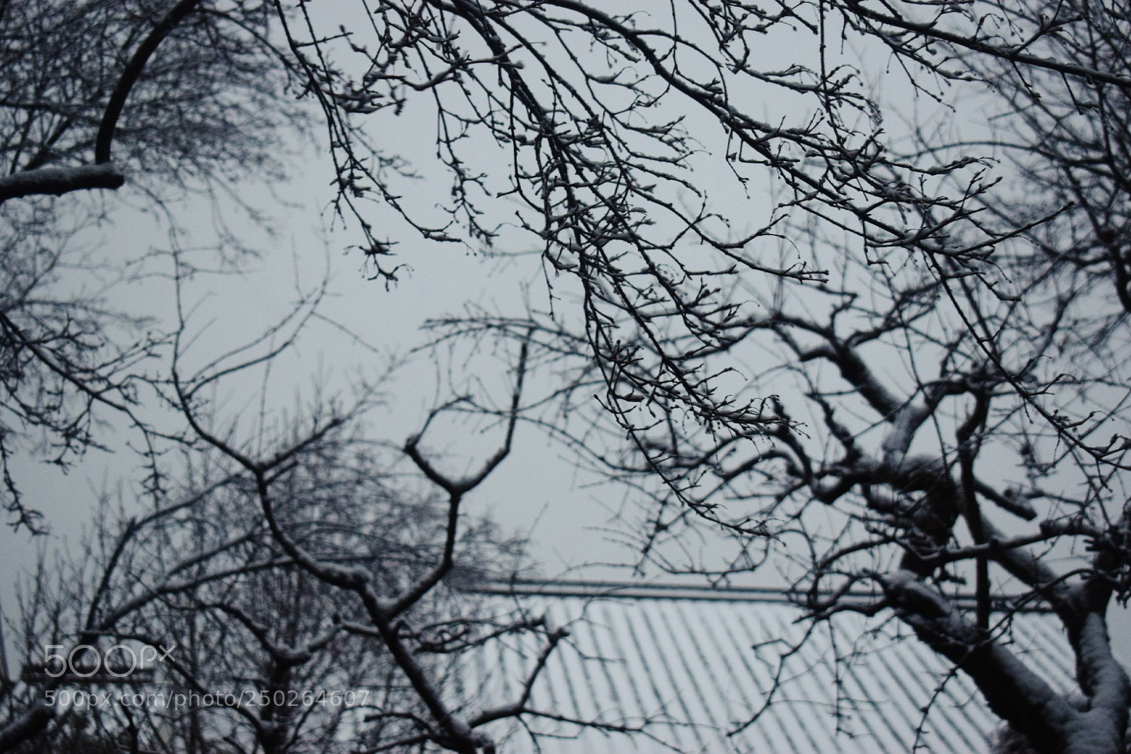 Nikon D5300 sample photo. Untitled photography