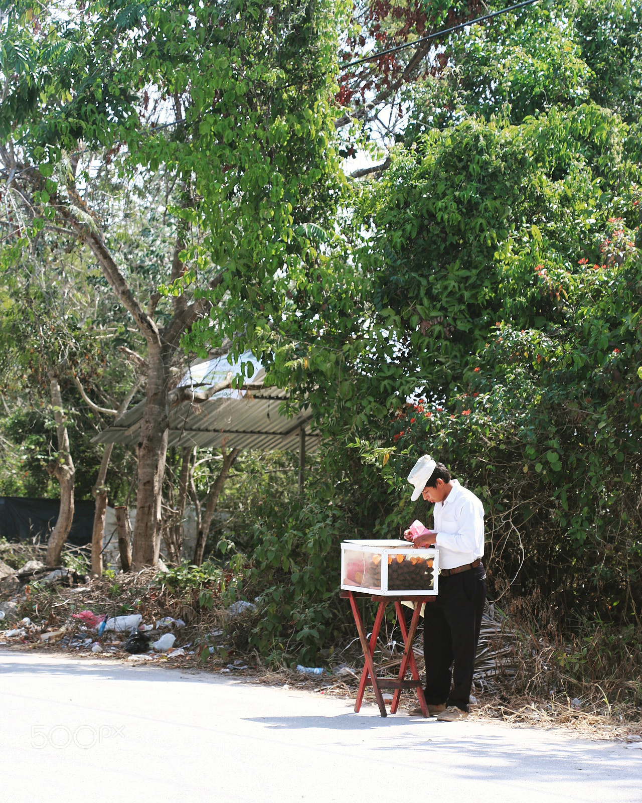 Canon EOS 70D sample photo. Img photography