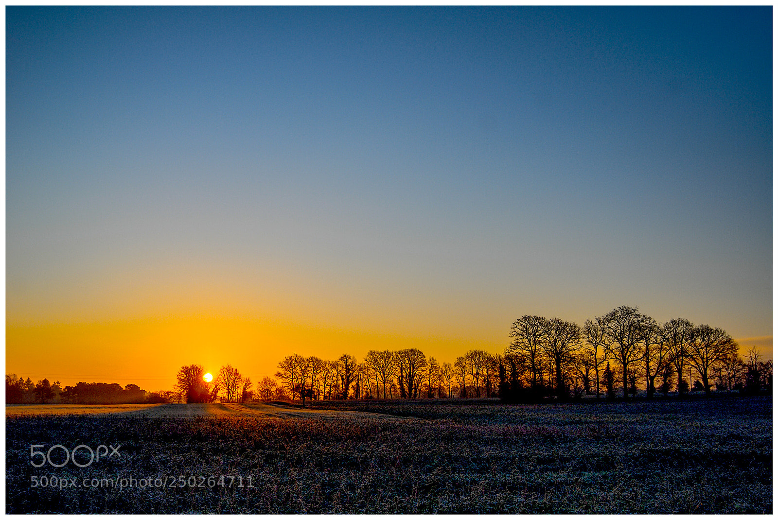 Nikon D200 sample photo. Cold morning photography