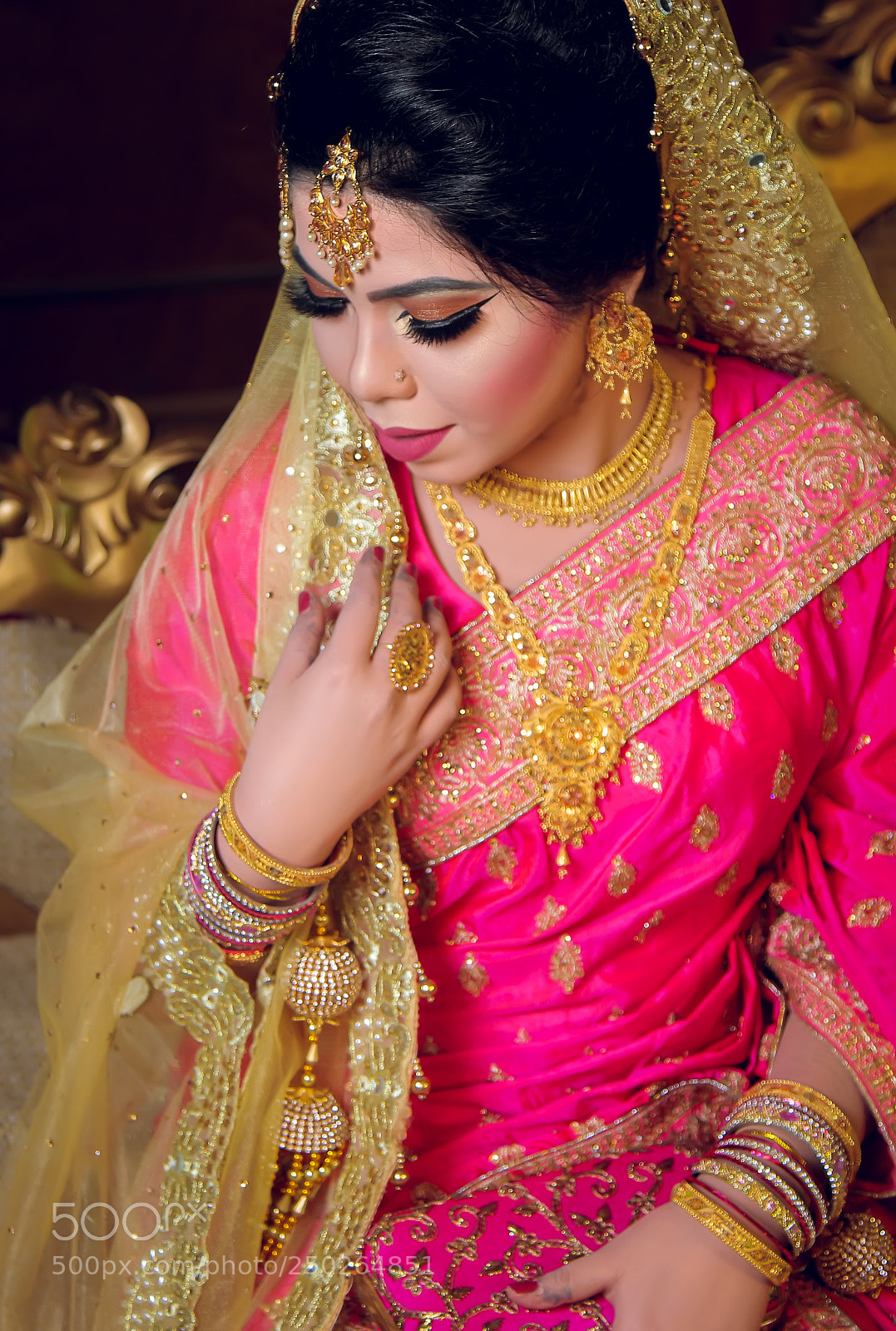 Canon EOS 700D (EOS Rebel T5i / EOS Kiss X7i) sample photo. Photo : anirban sarker photography