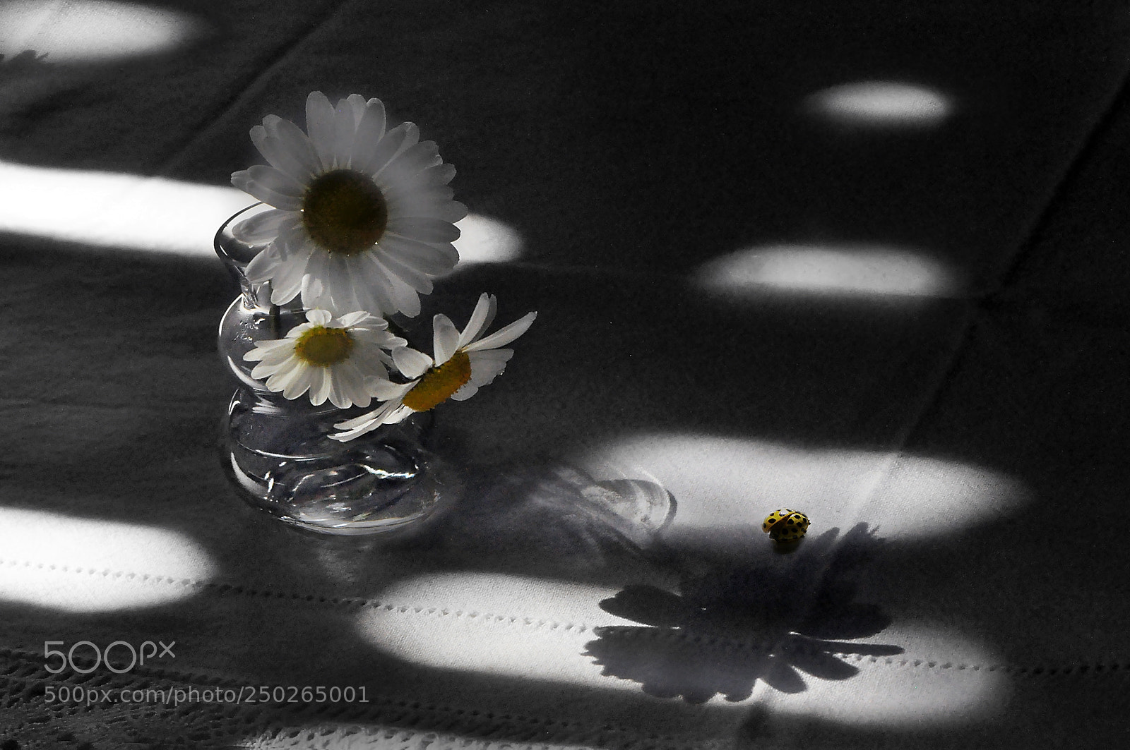 Nikon D90 sample photo. In search of the photography