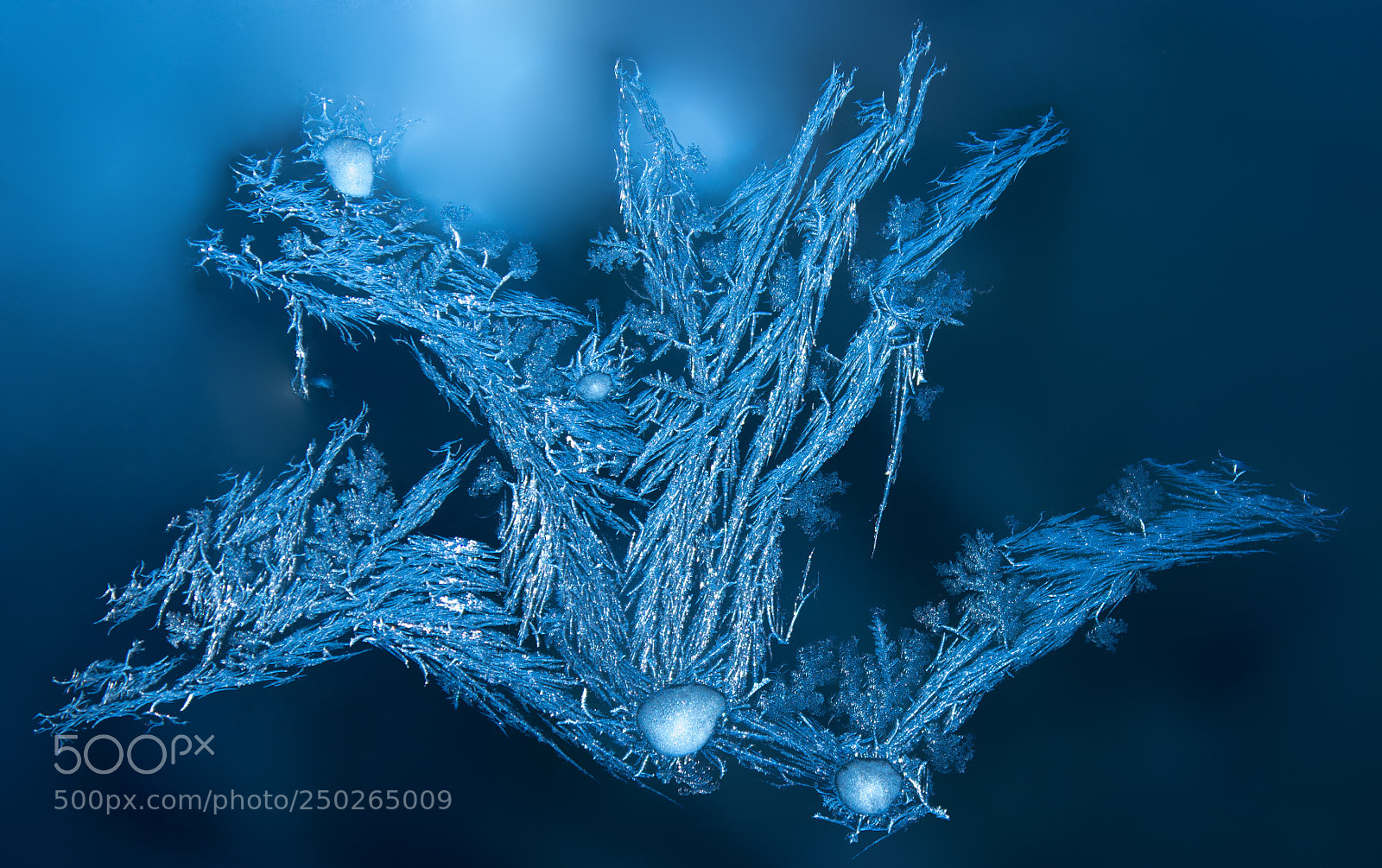 Canon EOS 600D (Rebel EOS T3i / EOS Kiss X5) sample photo. A frost on the photography
