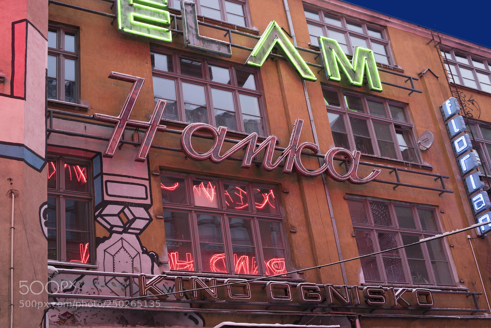 Nikon D810 sample photo. Neon side, wroclaw, silesia photography