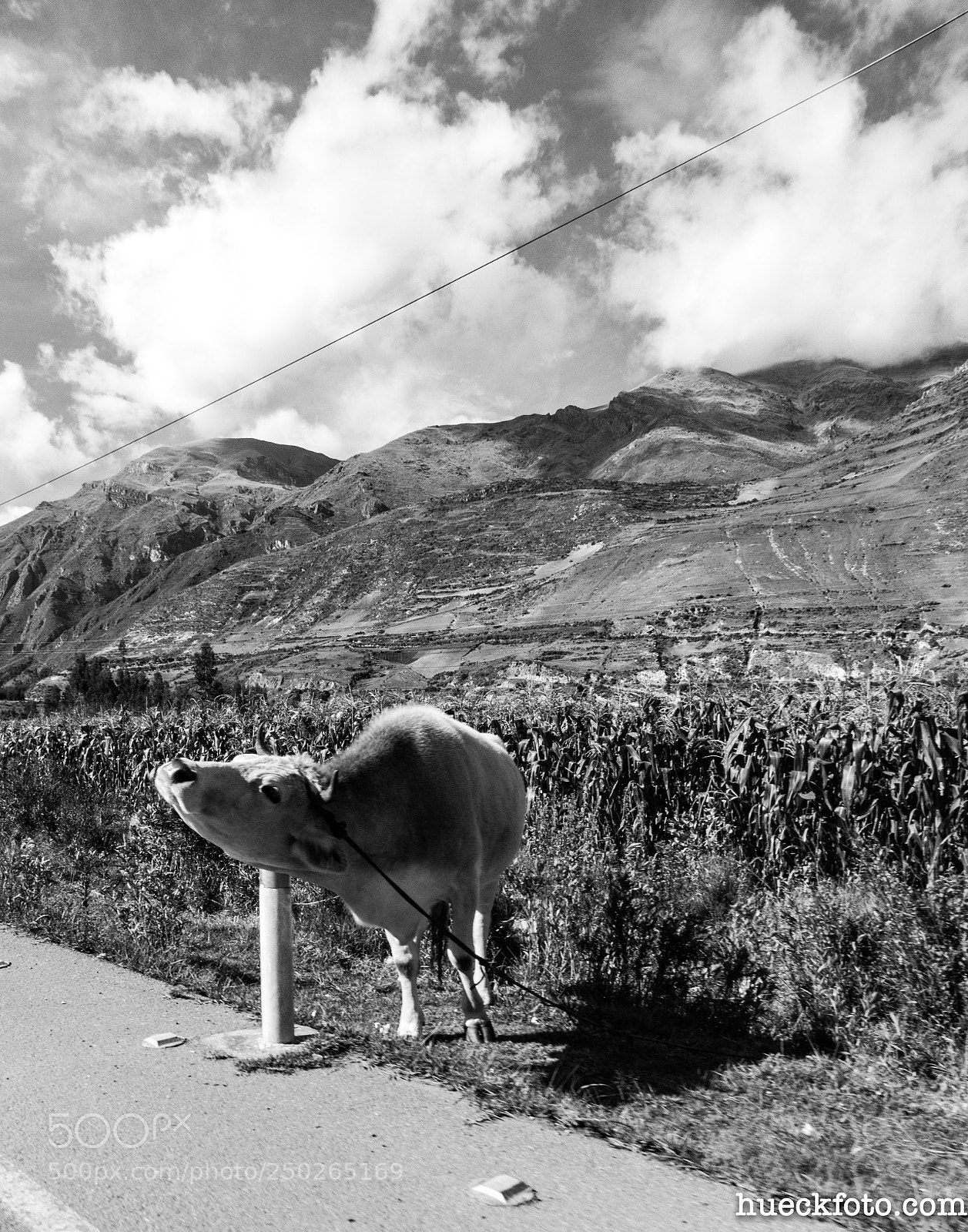 Nikon Coolpix B700 sample photo. Palccoyo rainbow mtn photography