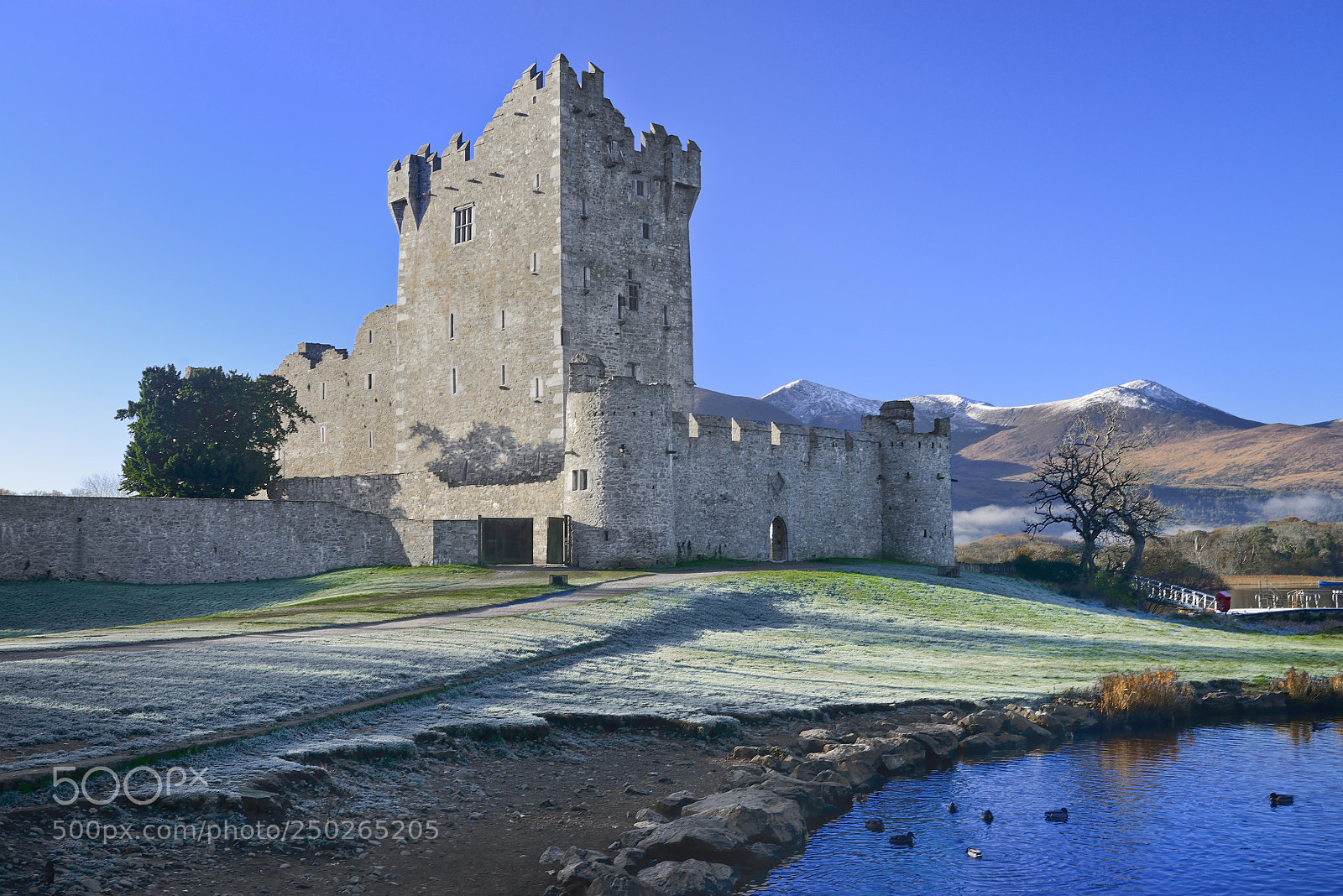 Nikon D800 sample photo. Ireland - co kerry photography