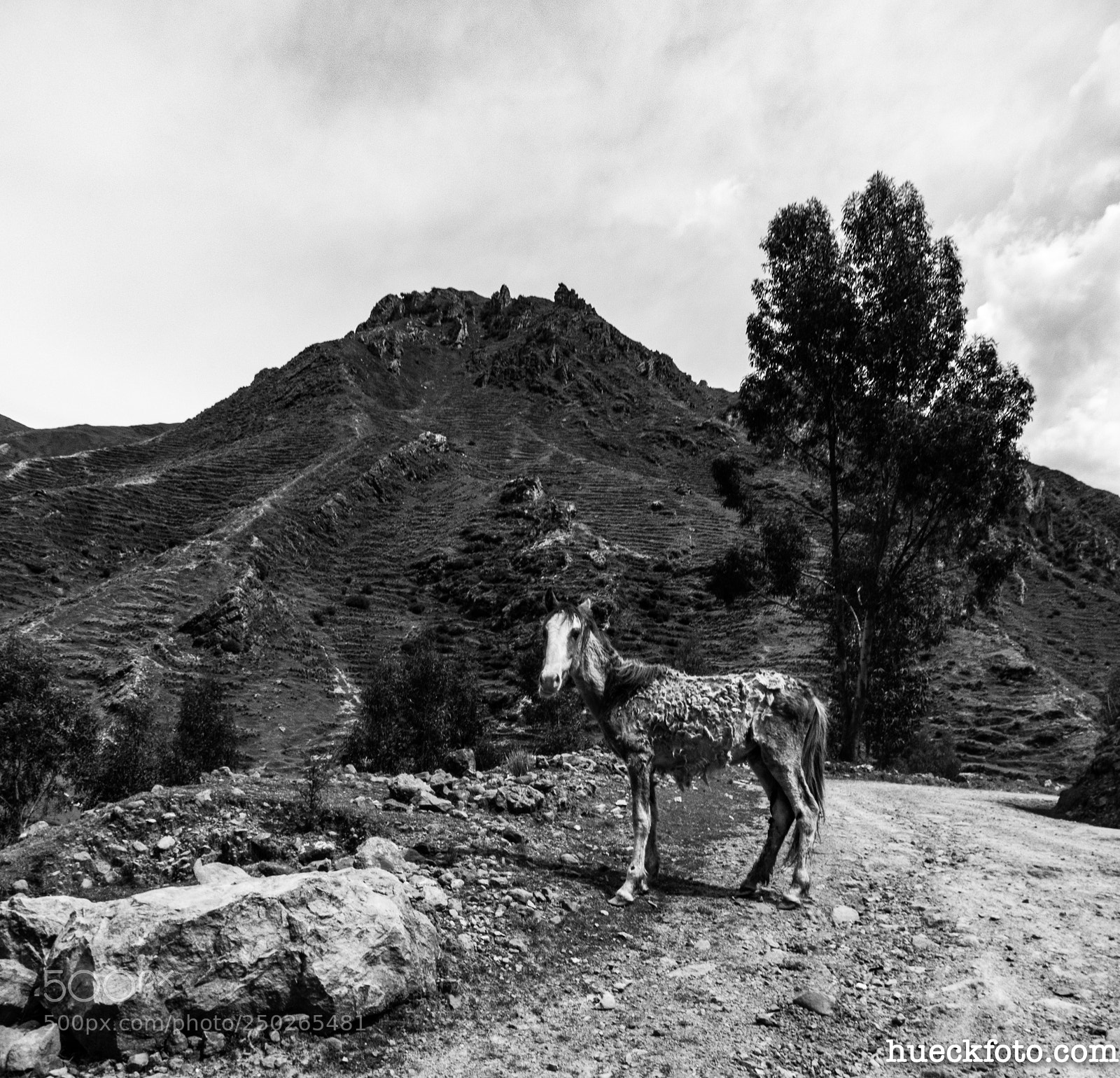 Nikon Coolpix B700 sample photo. Palccoyo rainbow mtn photography