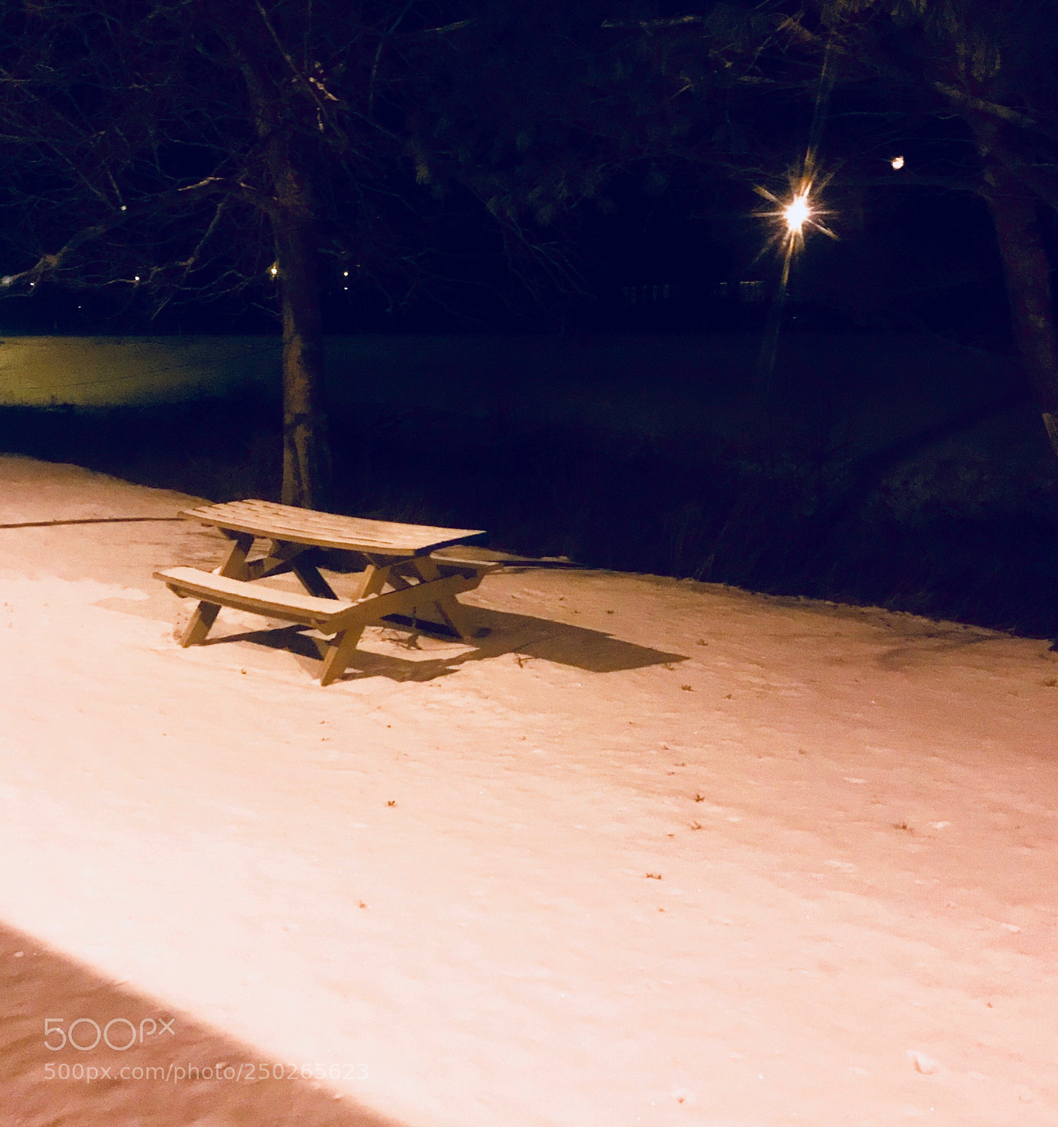 Apple iPhone 7 Plus sample photo. Tables ready for spring photography