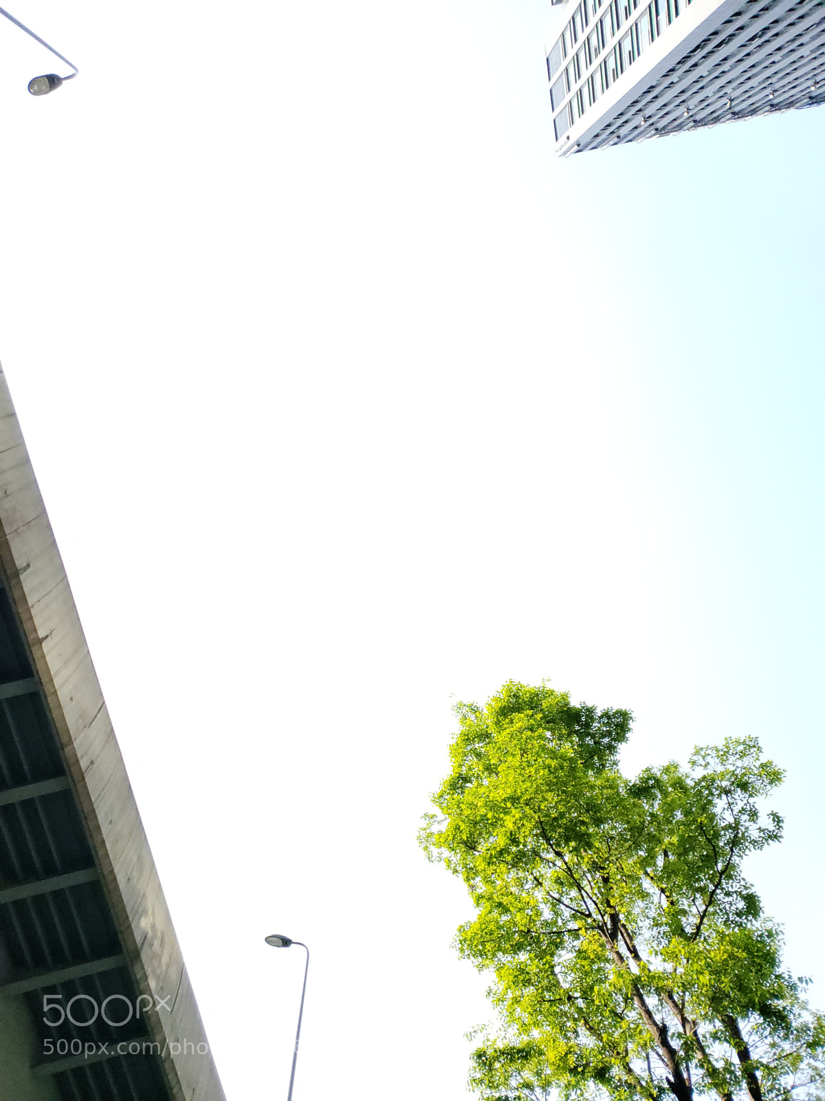 Samsung Galaxy S9+ sample photo. 天空 photography