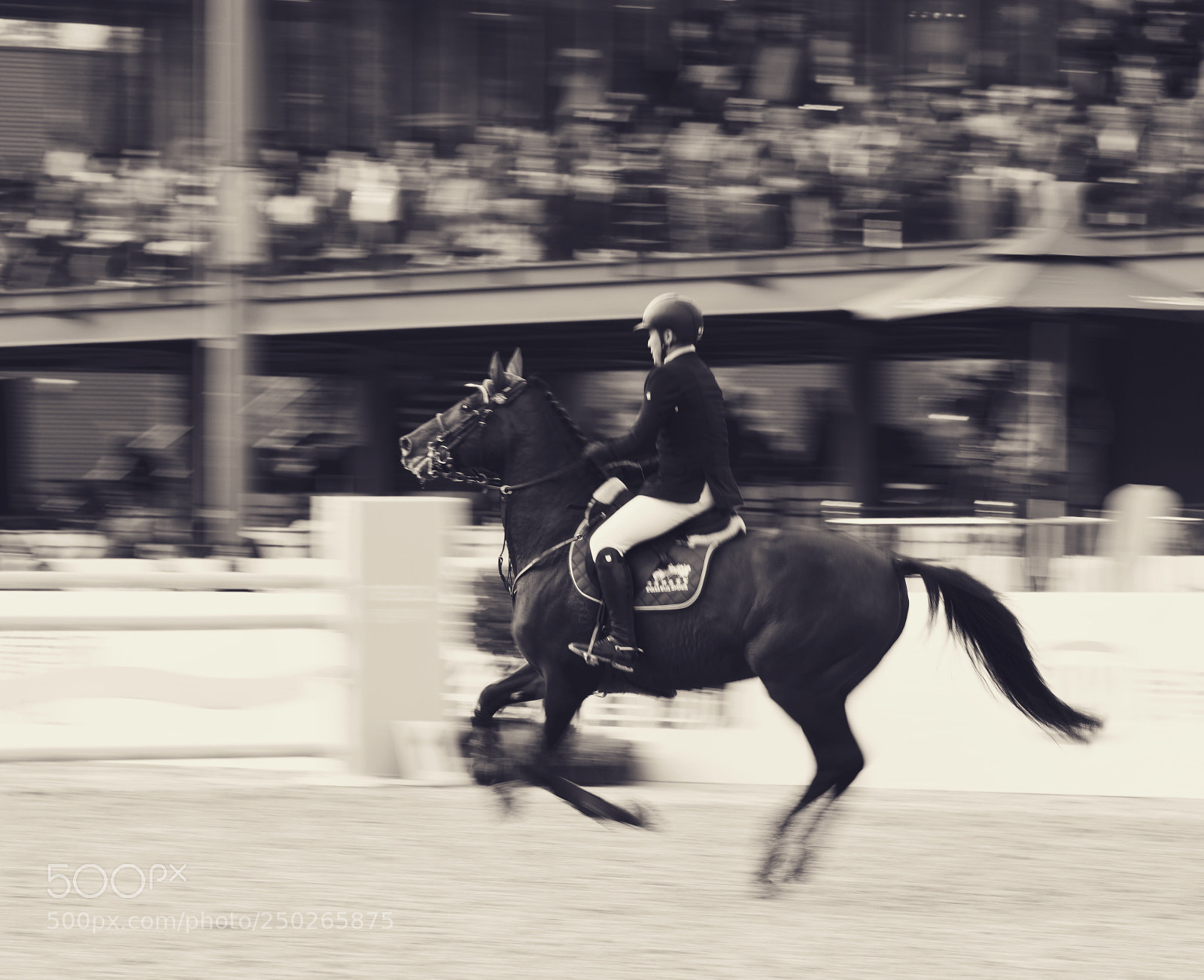 Nikon D810 sample photo. Running photography