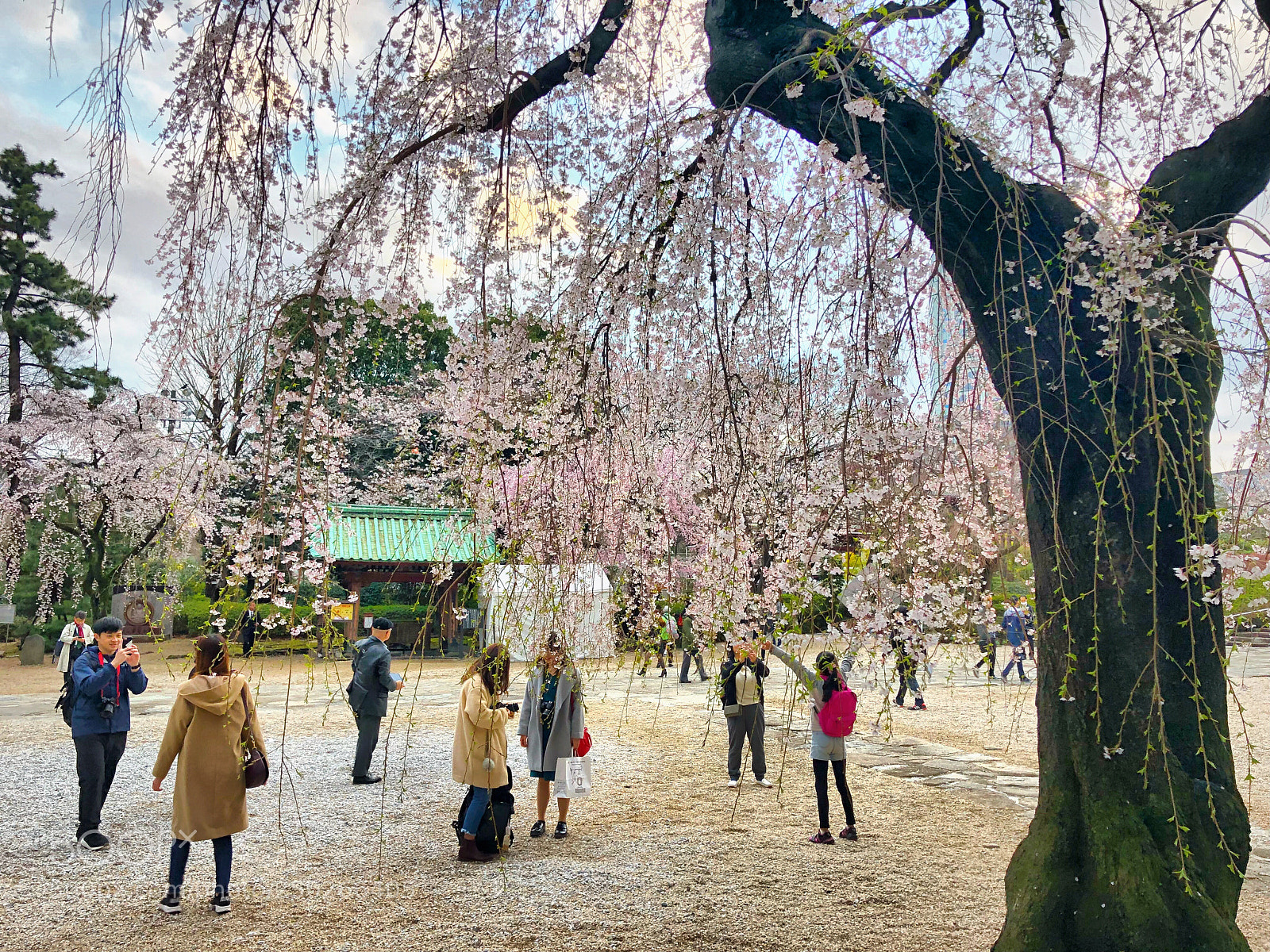 Apple iPhone X sample photo. Series of iphonex captures photography