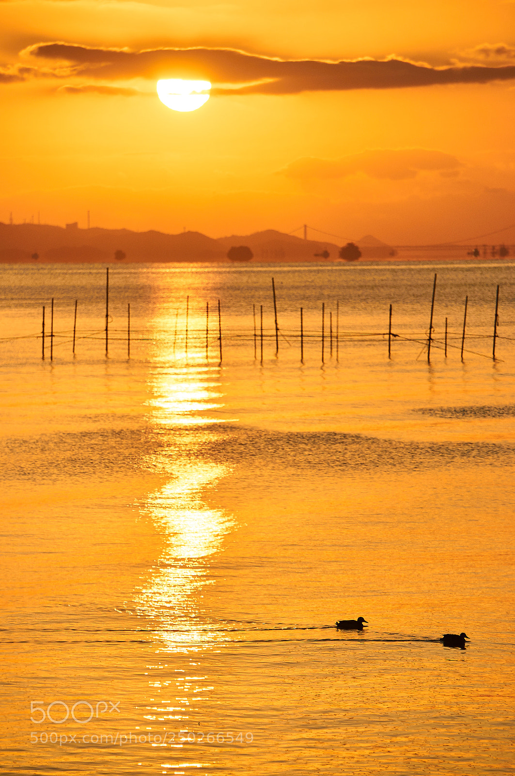 Sony Alpha NEX-6 sample photo. Sunrise photography