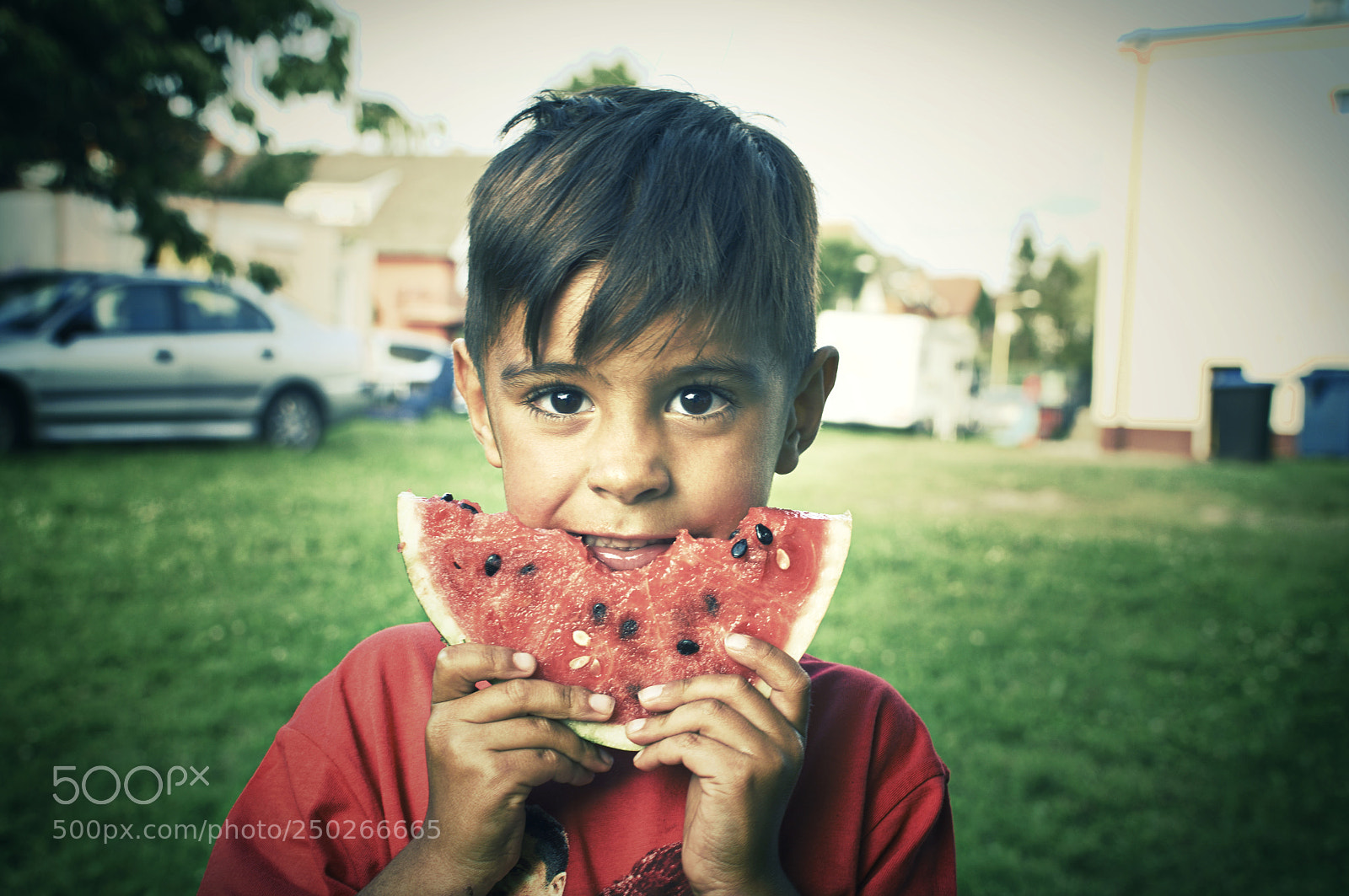 Nikon D7200 sample photo. Untitled photography