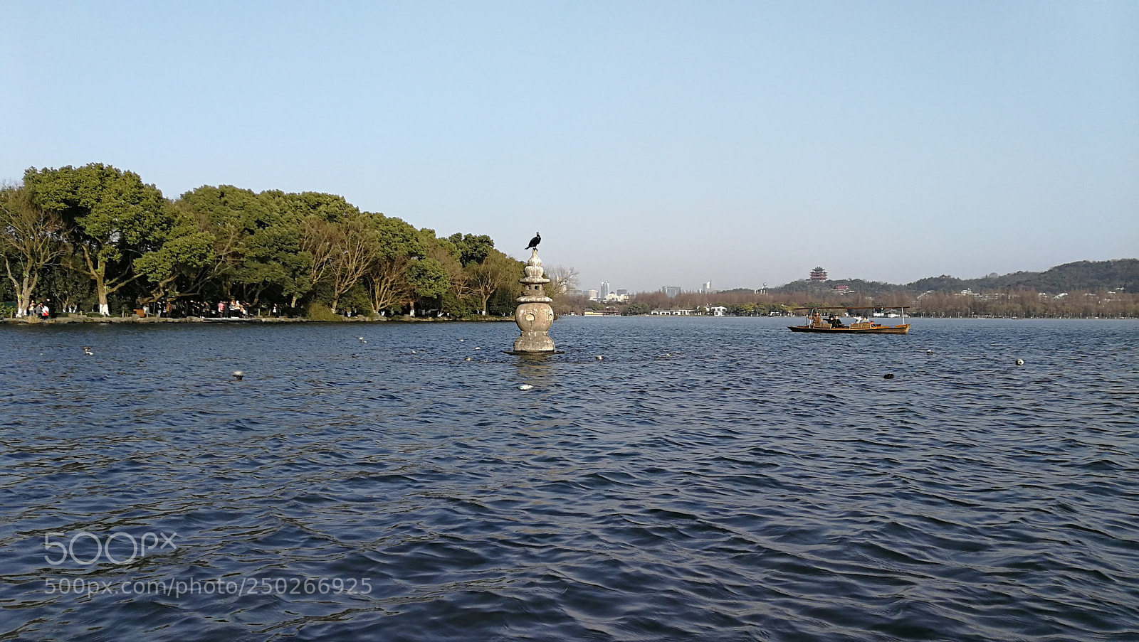 HUAWEI P10 Plus sample photo. Bird in rest photography