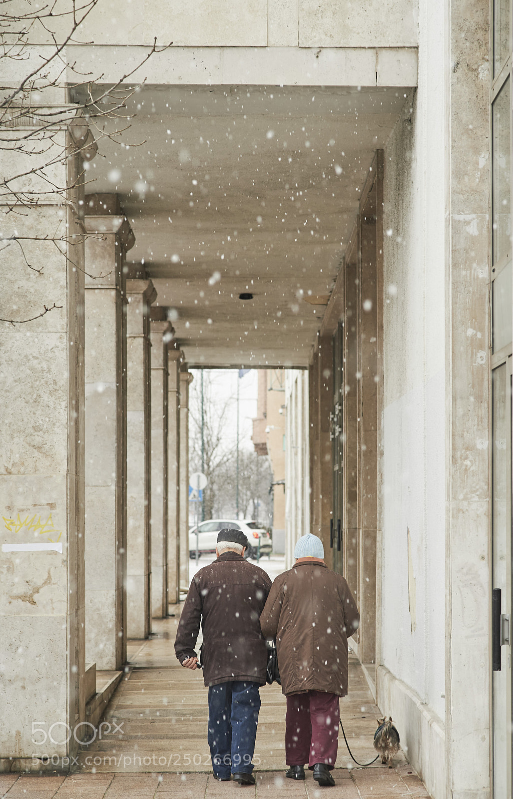Nikon D4 sample photo. Magic moment photography