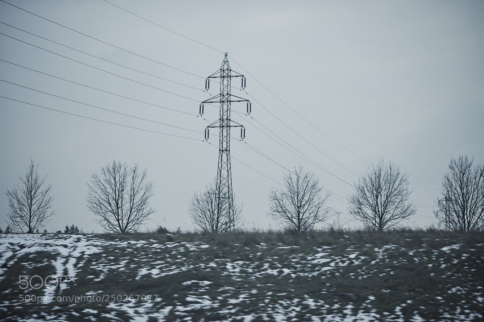 Nikon D4 sample photo. Magic moment photography