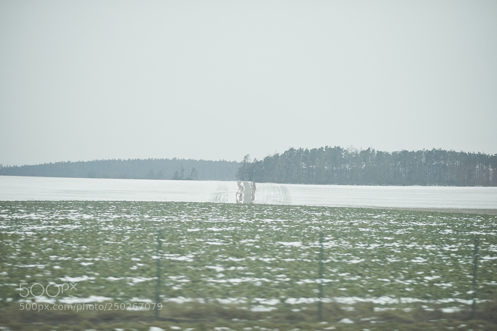 Nikon D4 sample photo. Magic moment photography