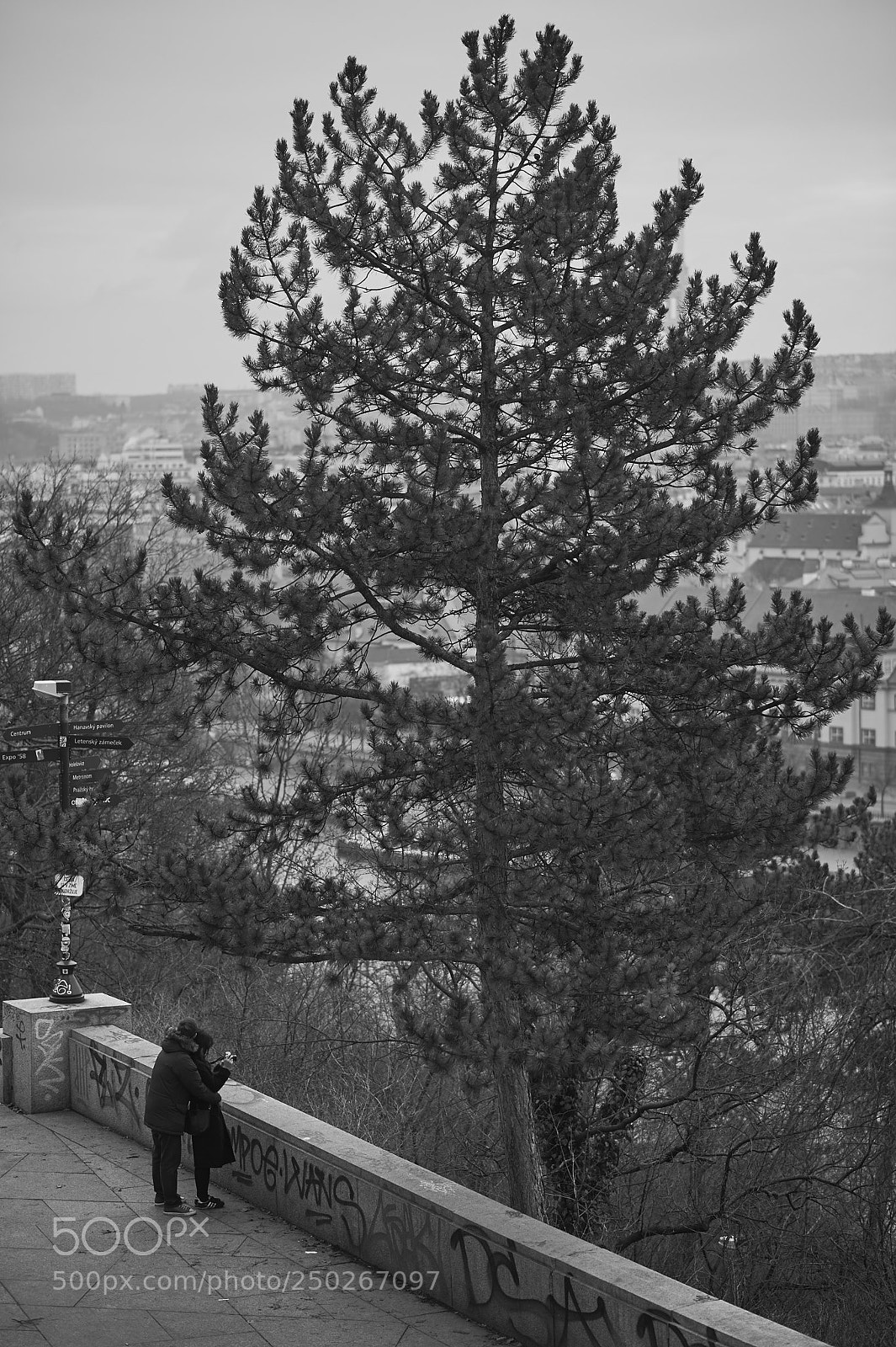 Nikon D4 sample photo. Magic moment photography