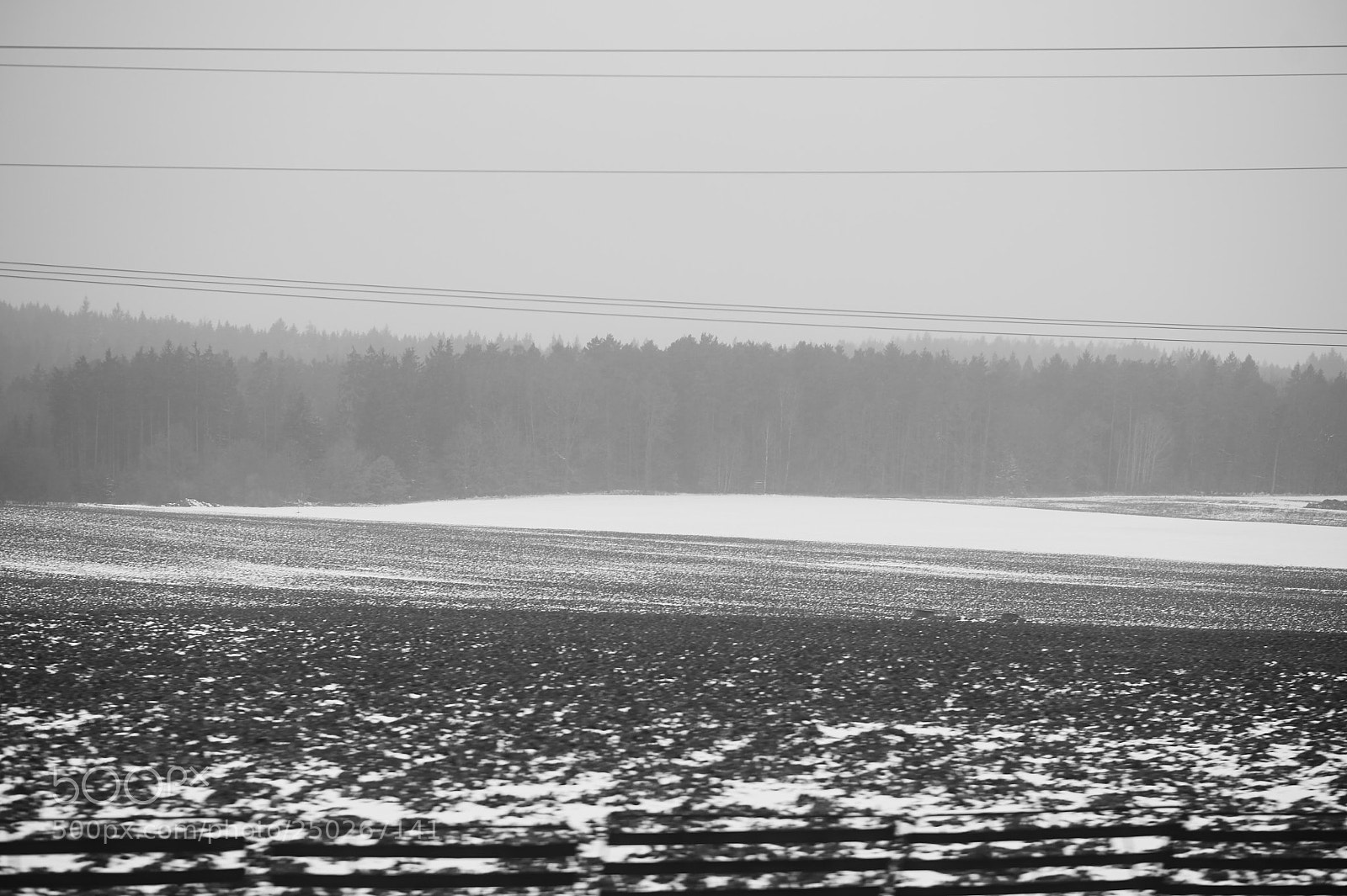 Nikon D4 sample photo. Magic moment photography