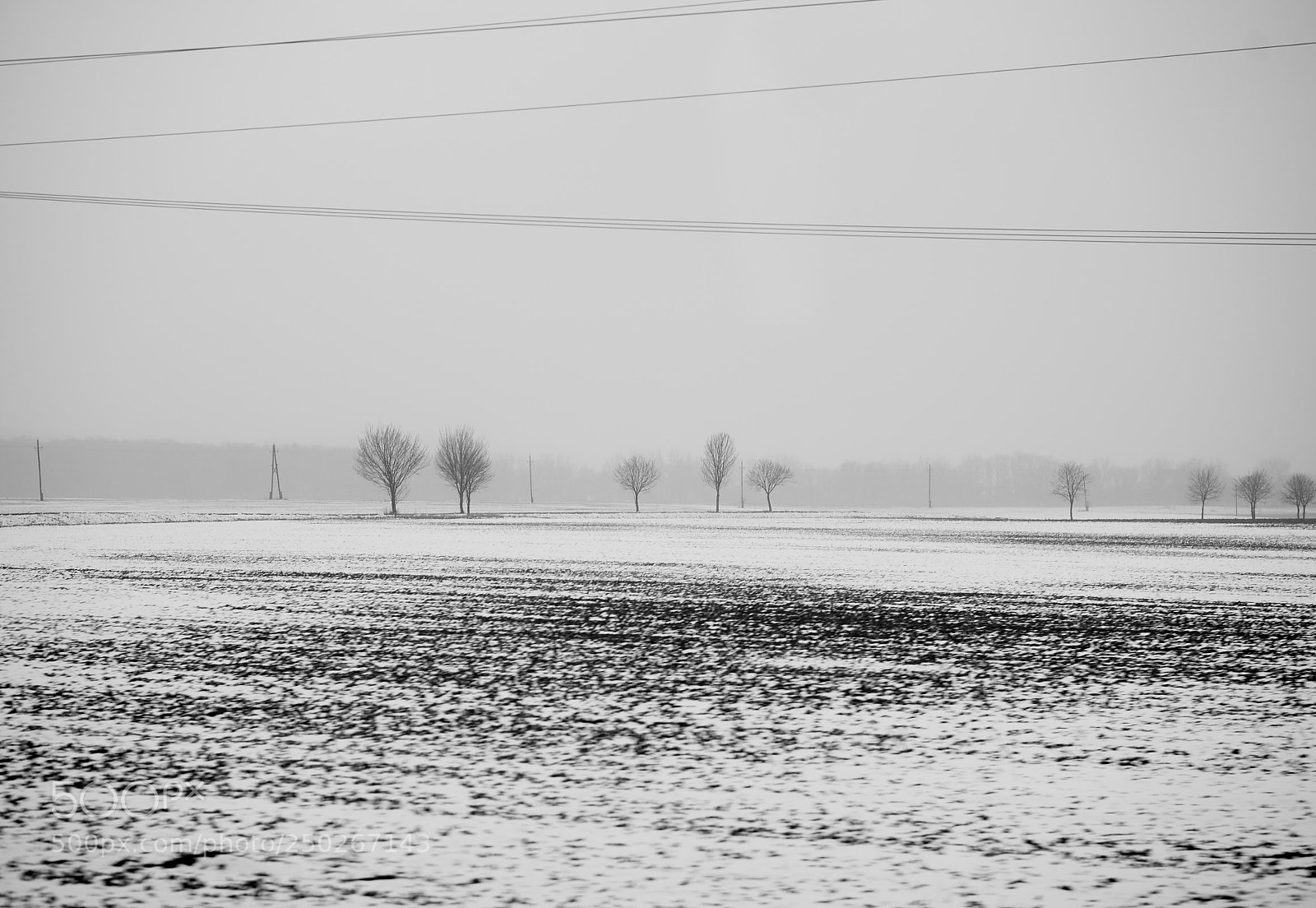 Nikon D4 sample photo. Magic moment photography