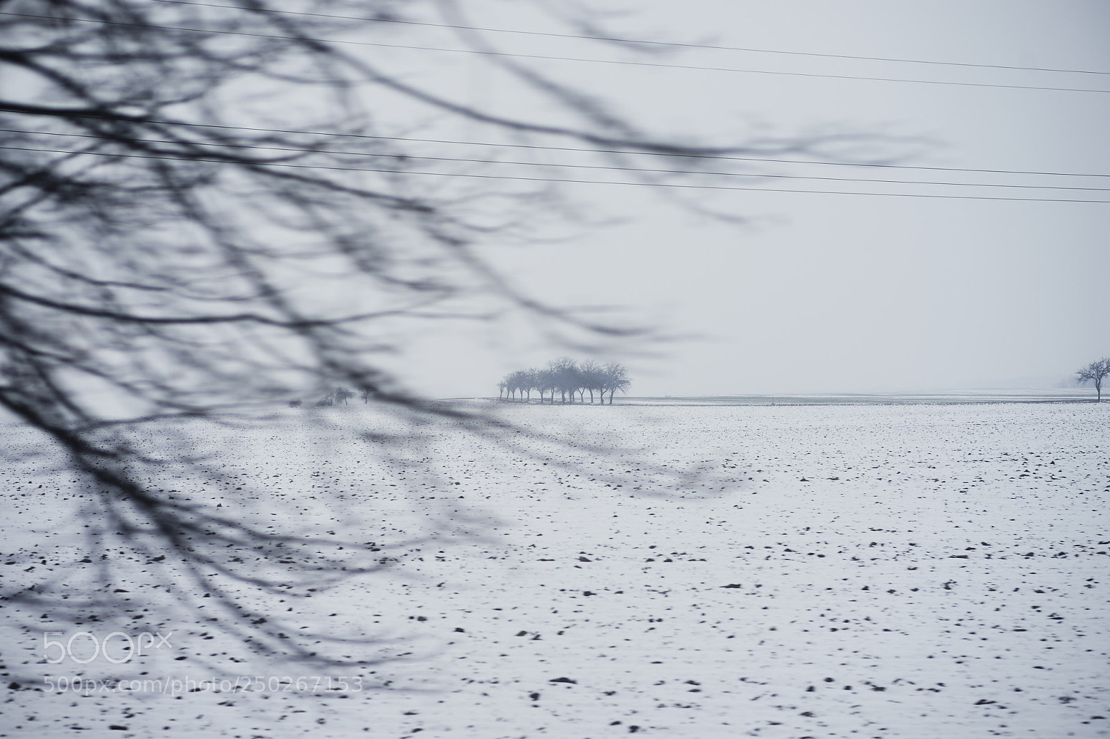Nikon D4 sample photo. Magic moment photography