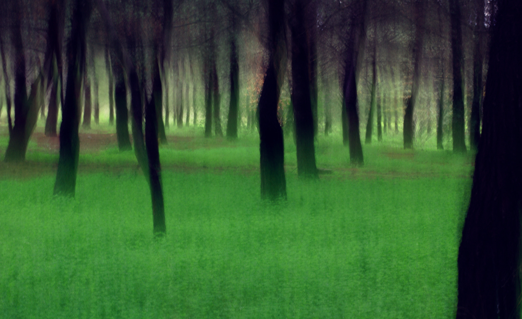Canon EOS 60D + Canon EF 50mm F1.4 USM sample photo. ...spirits.. photography