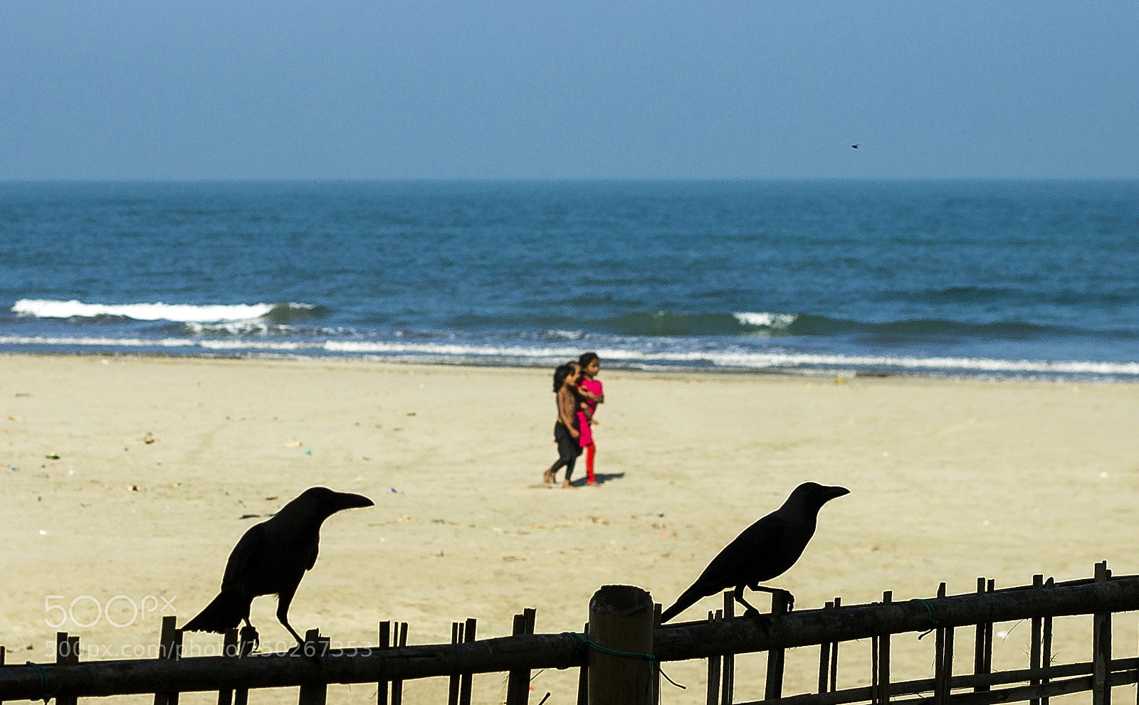 Canon EOS 1100D (EOS Rebel T3 / EOS Kiss X50) sample photo. Life at seashore photography