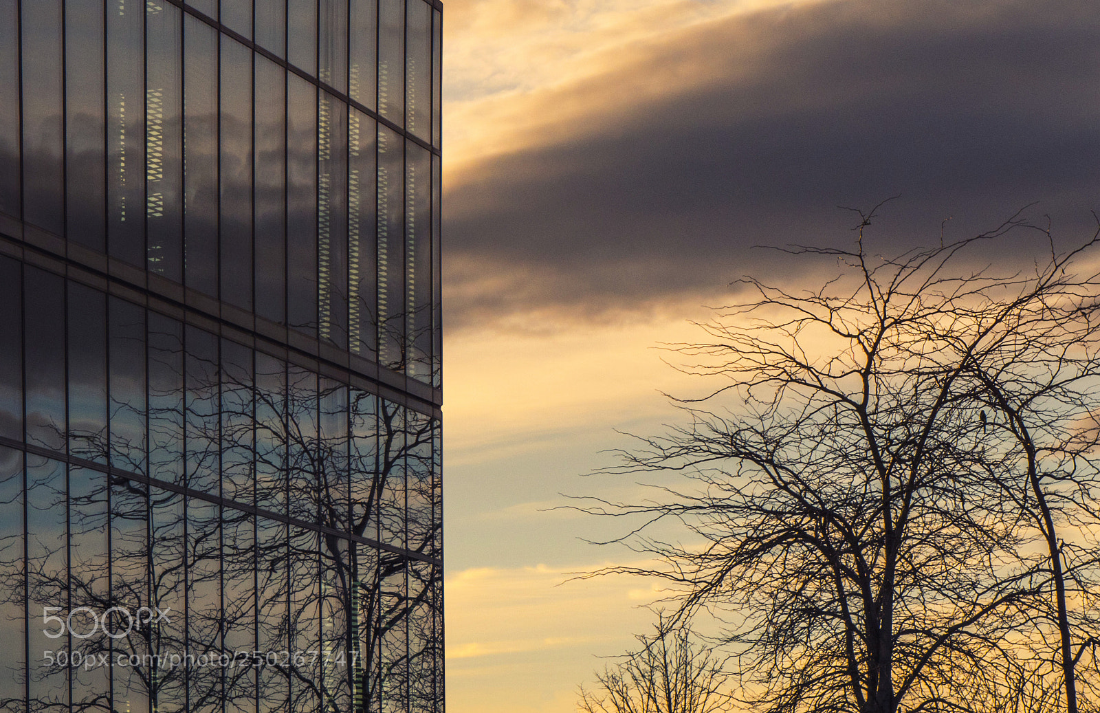 Panasonic Lumix DC-G9 sample photo. Reflejos photography