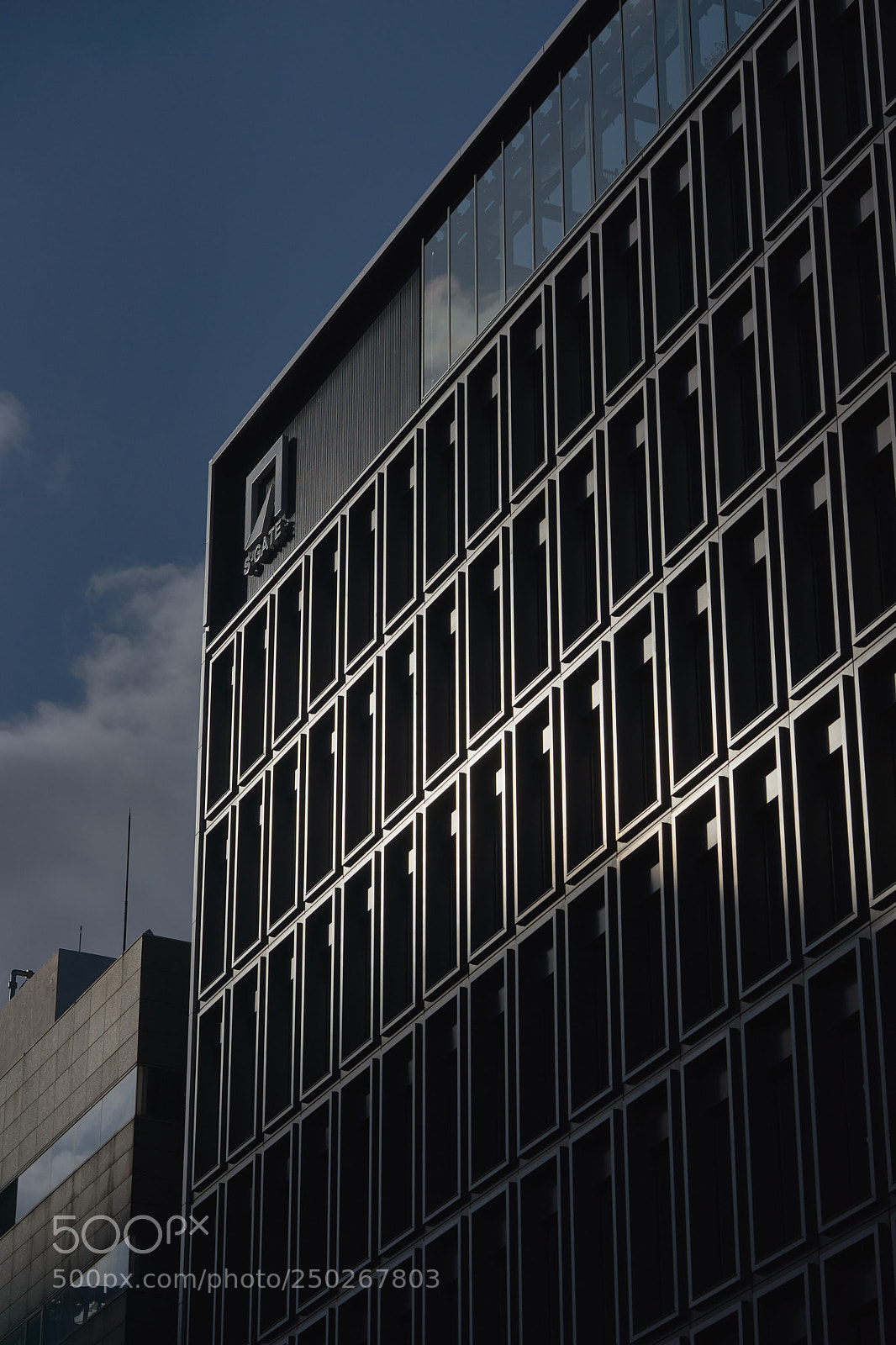 Sony a7 sample photo. Street 276 photography