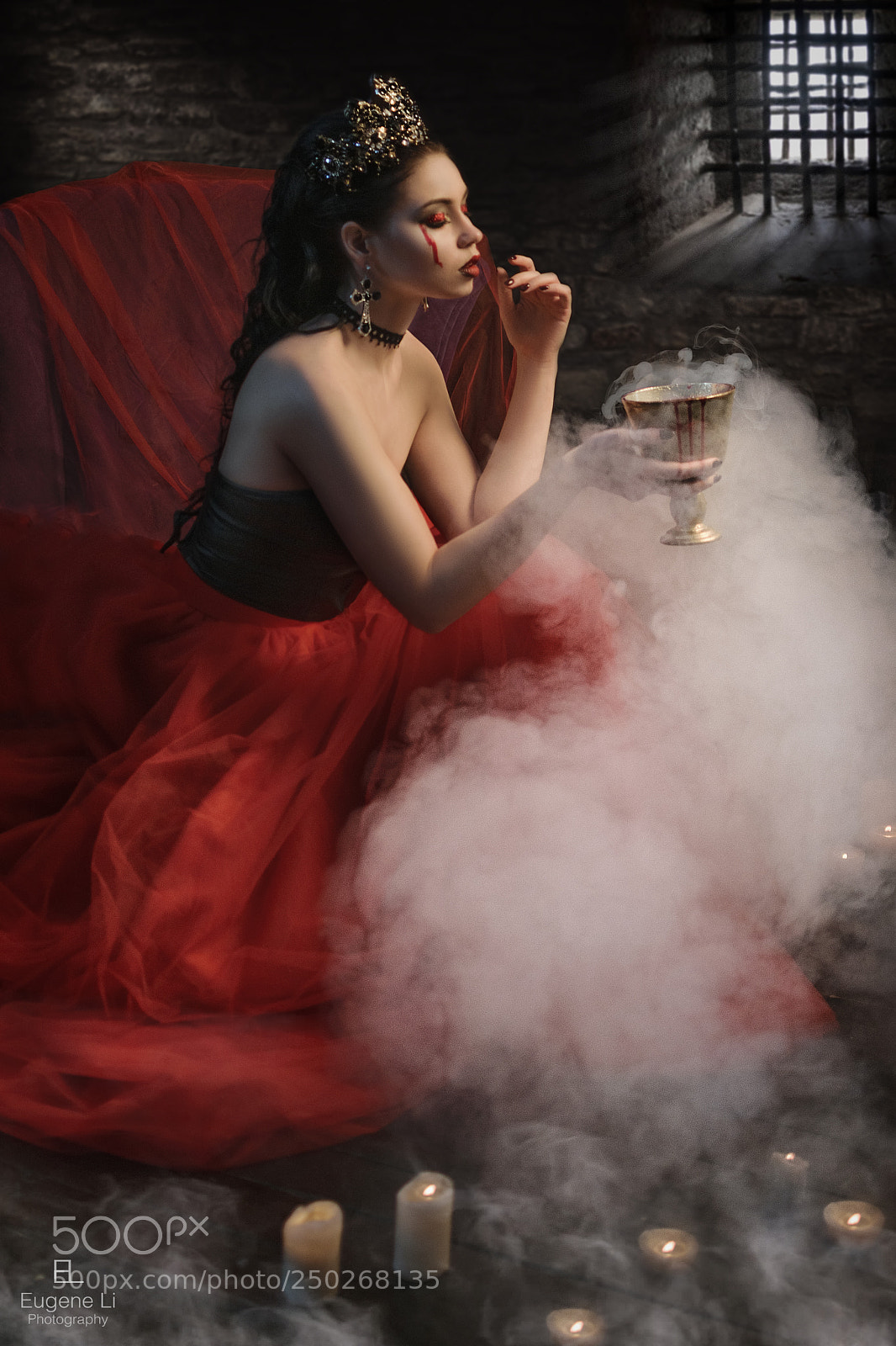 Nikon D5300 sample photo. Countess elizabeth bathory de photography