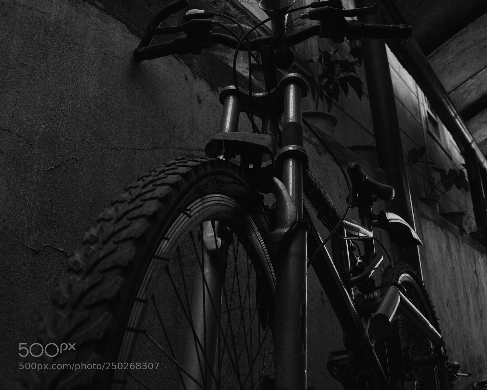 Nikon D5300 sample photo. The old bike photography
