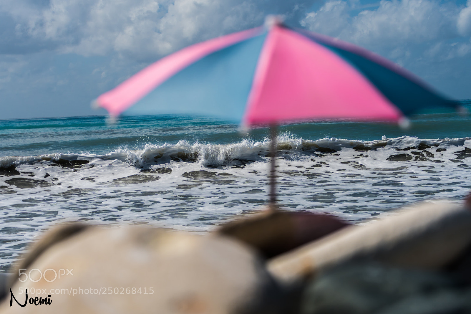 Nikon D500 sample photo. Sunny day photography