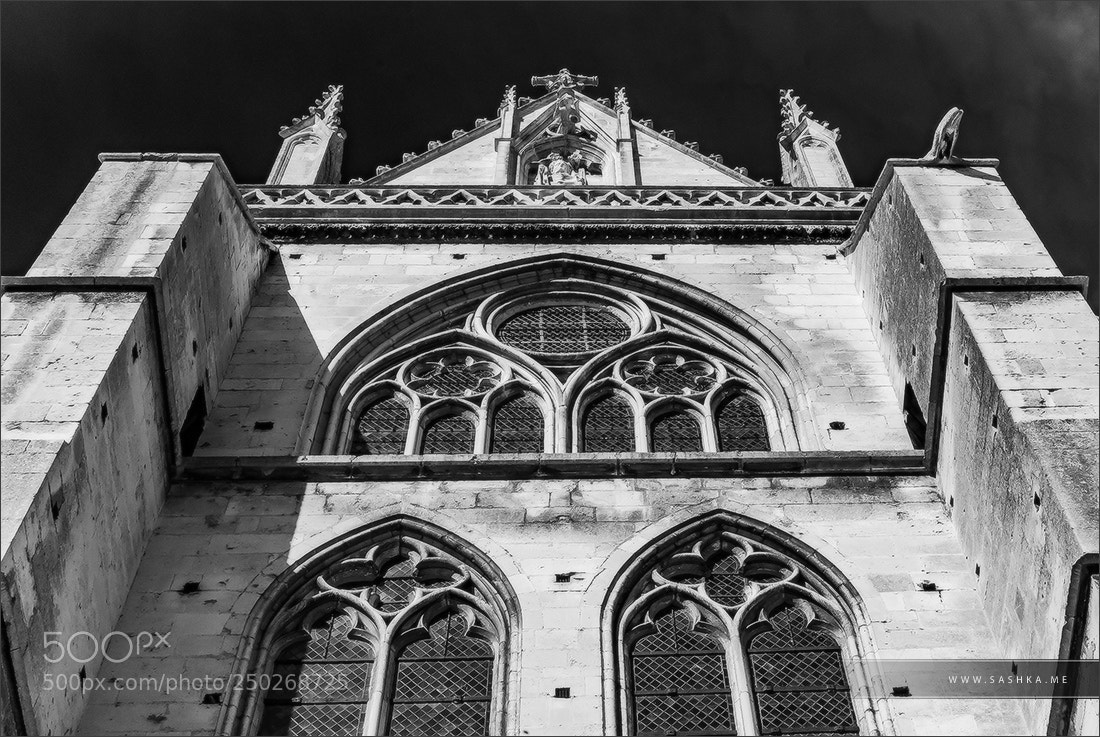 Sony Alpha DSLR-A230 sample photo. Abbey saint-germain in auxerre photography