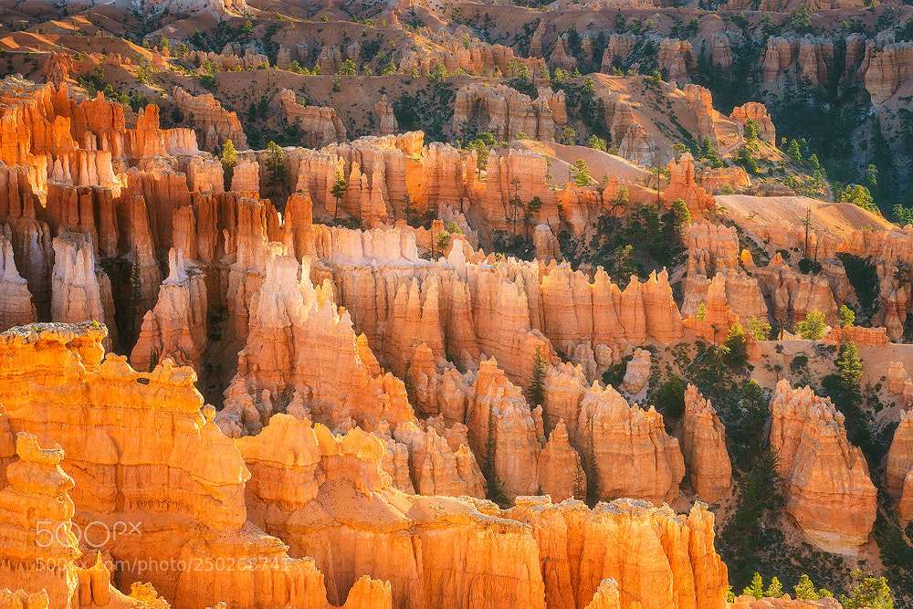 Sony a7R II sample photo. Bryce canyon photography