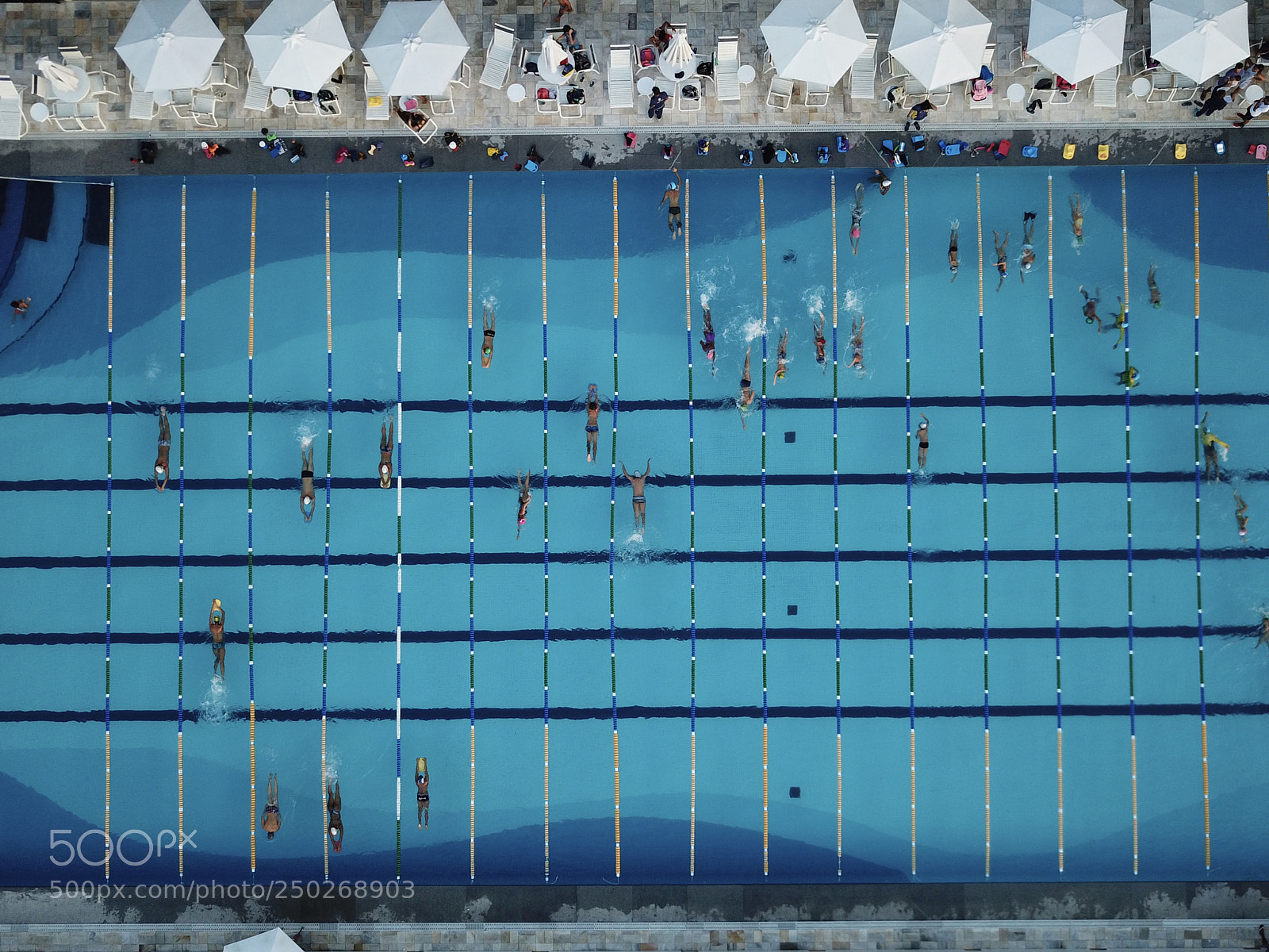 DJI FC220 sample photo. Swimmers photography