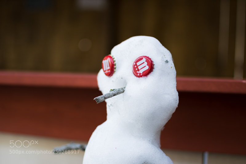Nikon D5300 sample photo. Snowman photography