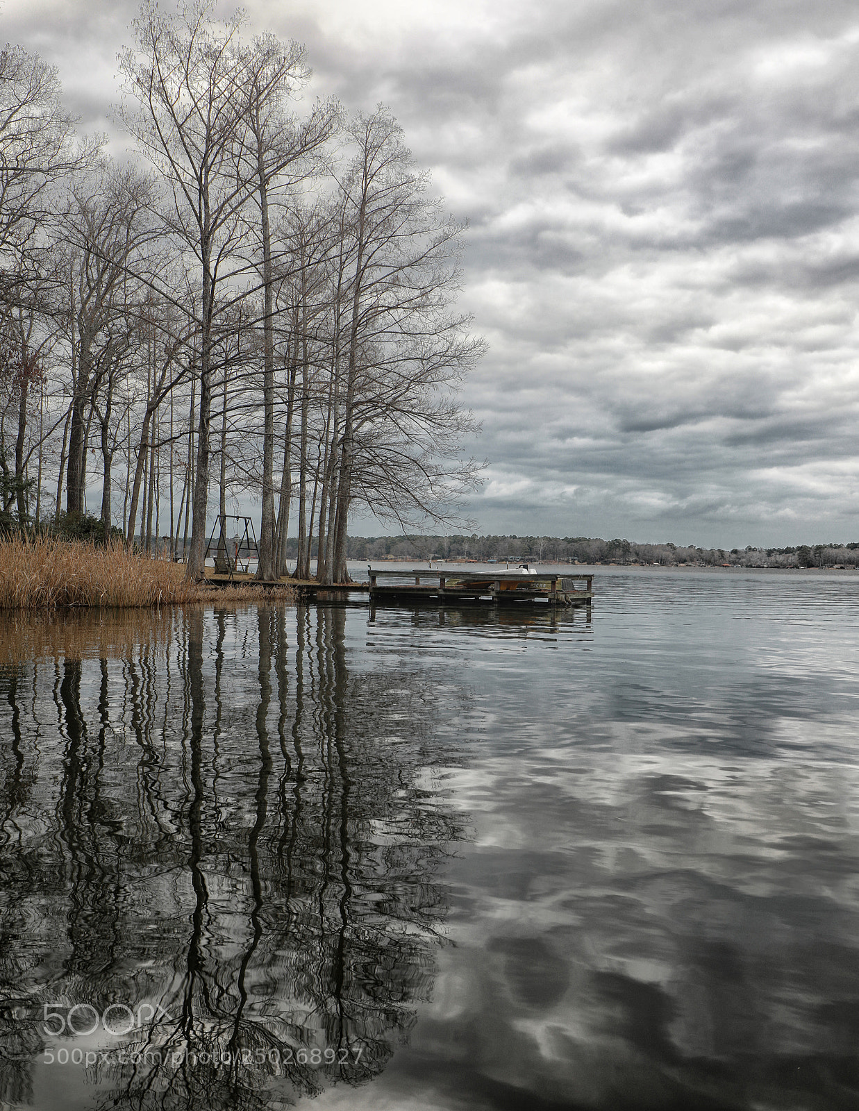 Canon EOS 5D Mark IV sample photo. Calm before the winter photography