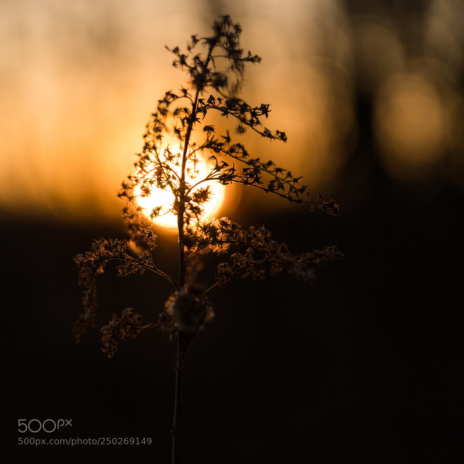 Sony a7R III sample photo. Sunset photography