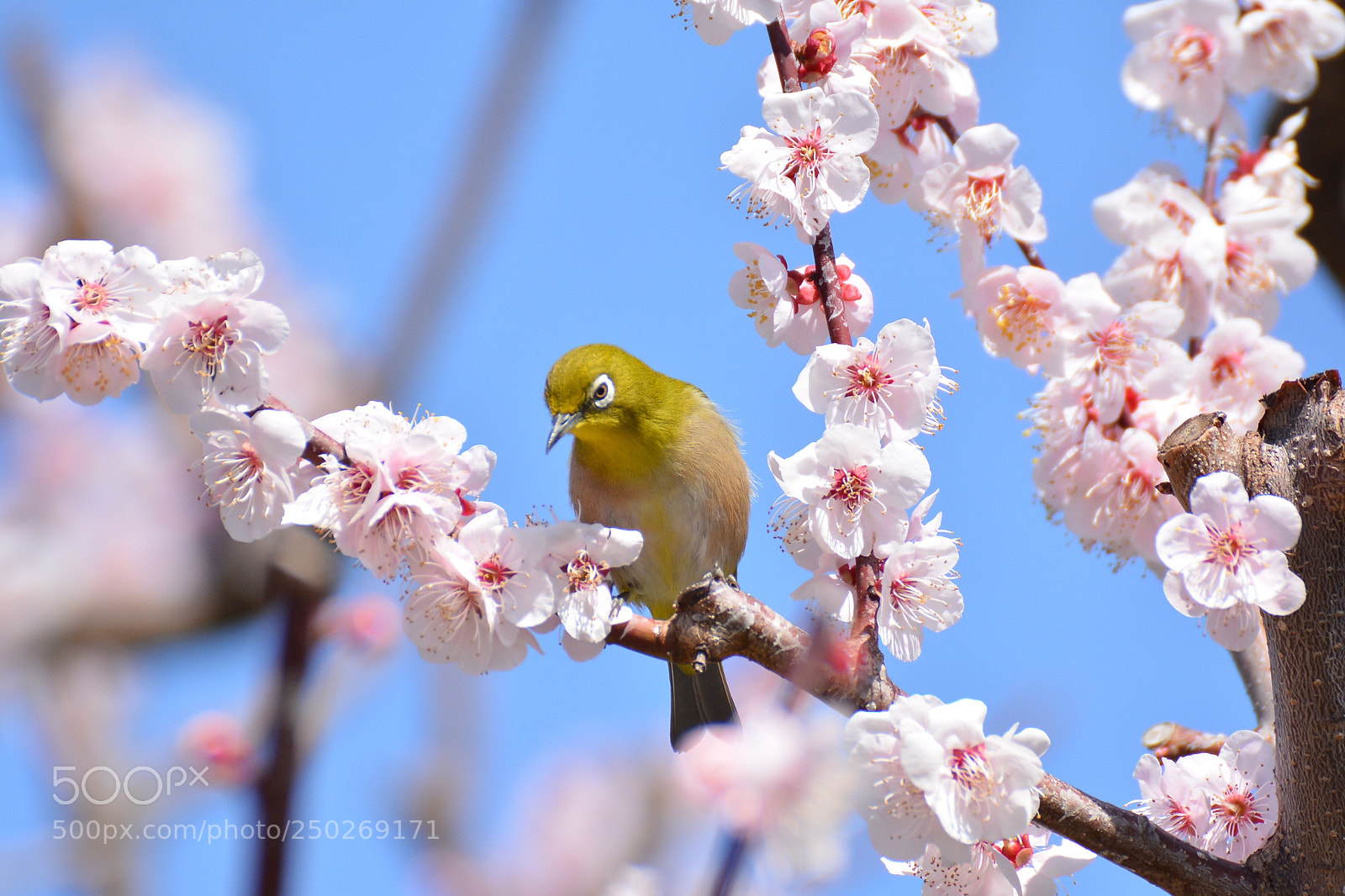 Nikon D7100 sample photo. Untitled photography