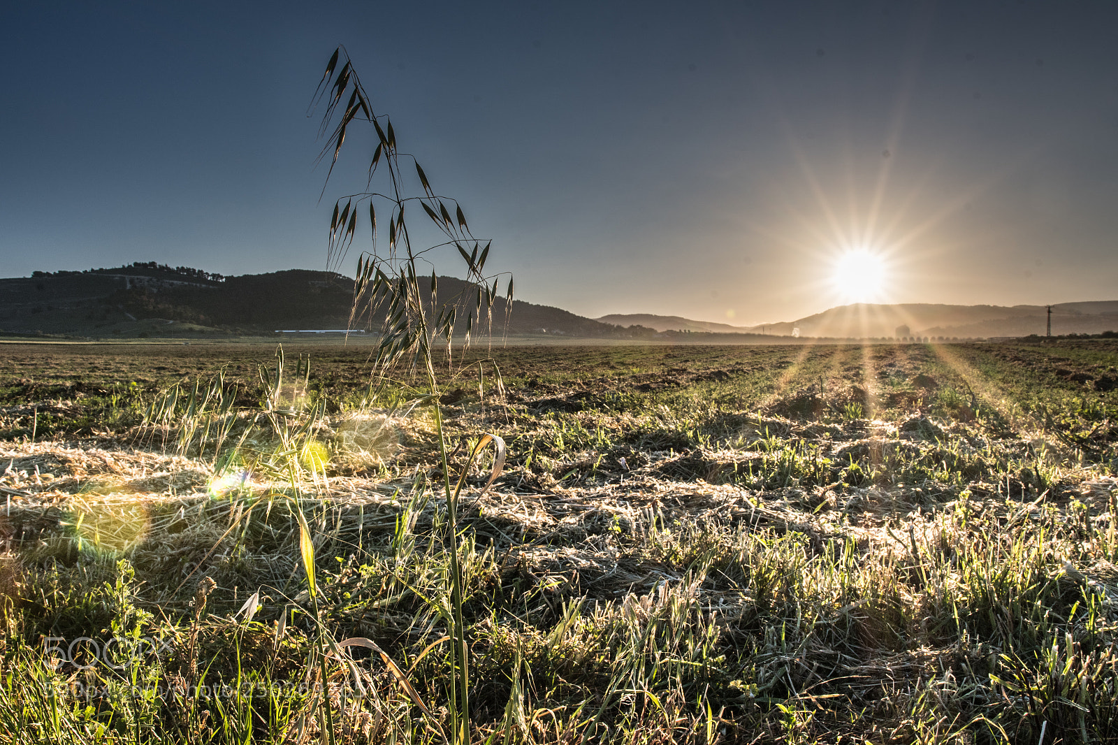 Nikon D500 sample photo. Harvest (2) photography