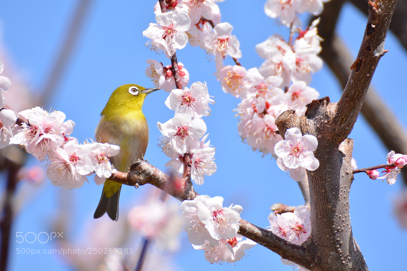 Nikon D7100 sample photo. Untitled photography